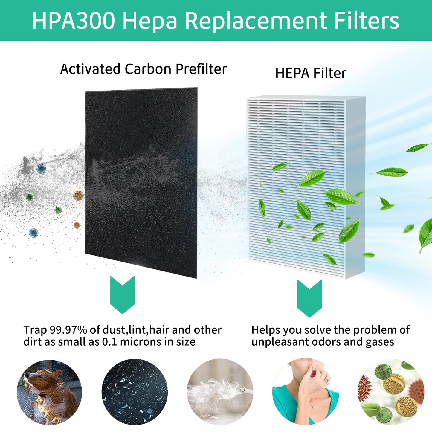 Musslan 6 Pack HPA300 HEPA Filter Replacement R with 8 Pack Activated Carbon Filter A Compatible with Honeywell Air Purifier HPA300, HPA304, HPA200, HPA3300 and HPA5300 Series