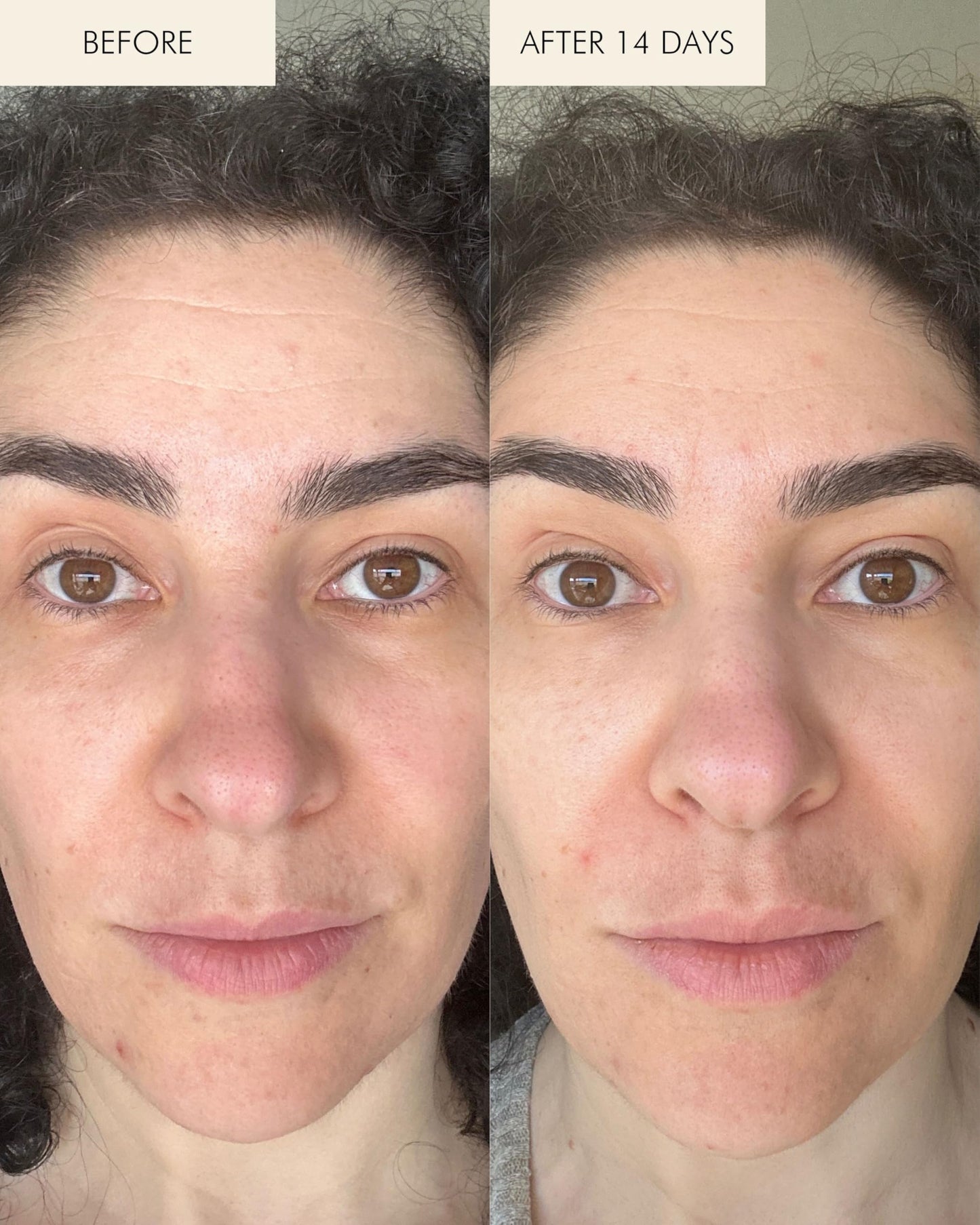 MARA - SeaDream Firming Algae Creme | Plant-Based Care for All Skin Types | Hydrates + Targets Fine Lines (1.7 fl oz | 50 ml)