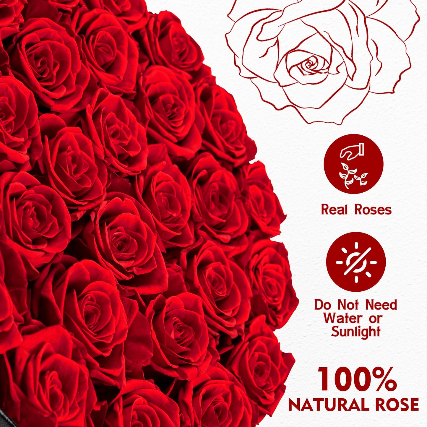 Impouo Forever Flowers, 27 Roses in A Box, Real Preserved Roses, Birthday Gift for Women, Mother's Day, Anniversary, Red Rose