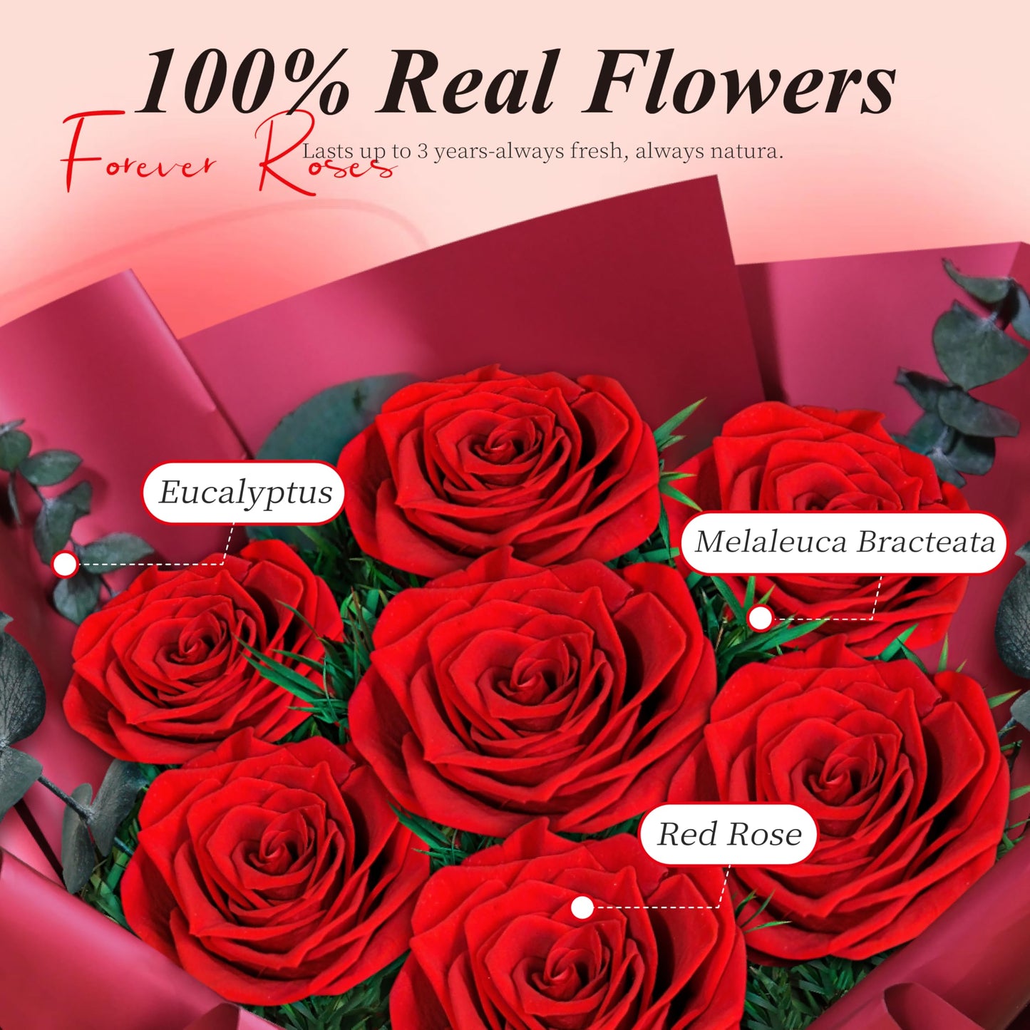 Preserved Red Rose Bouquet, 7 Pcs Real Forever Flowers Last 3+ Years, Gifts for Valentine's Day Mother's Day, for Wife Girlfriend Mom Her