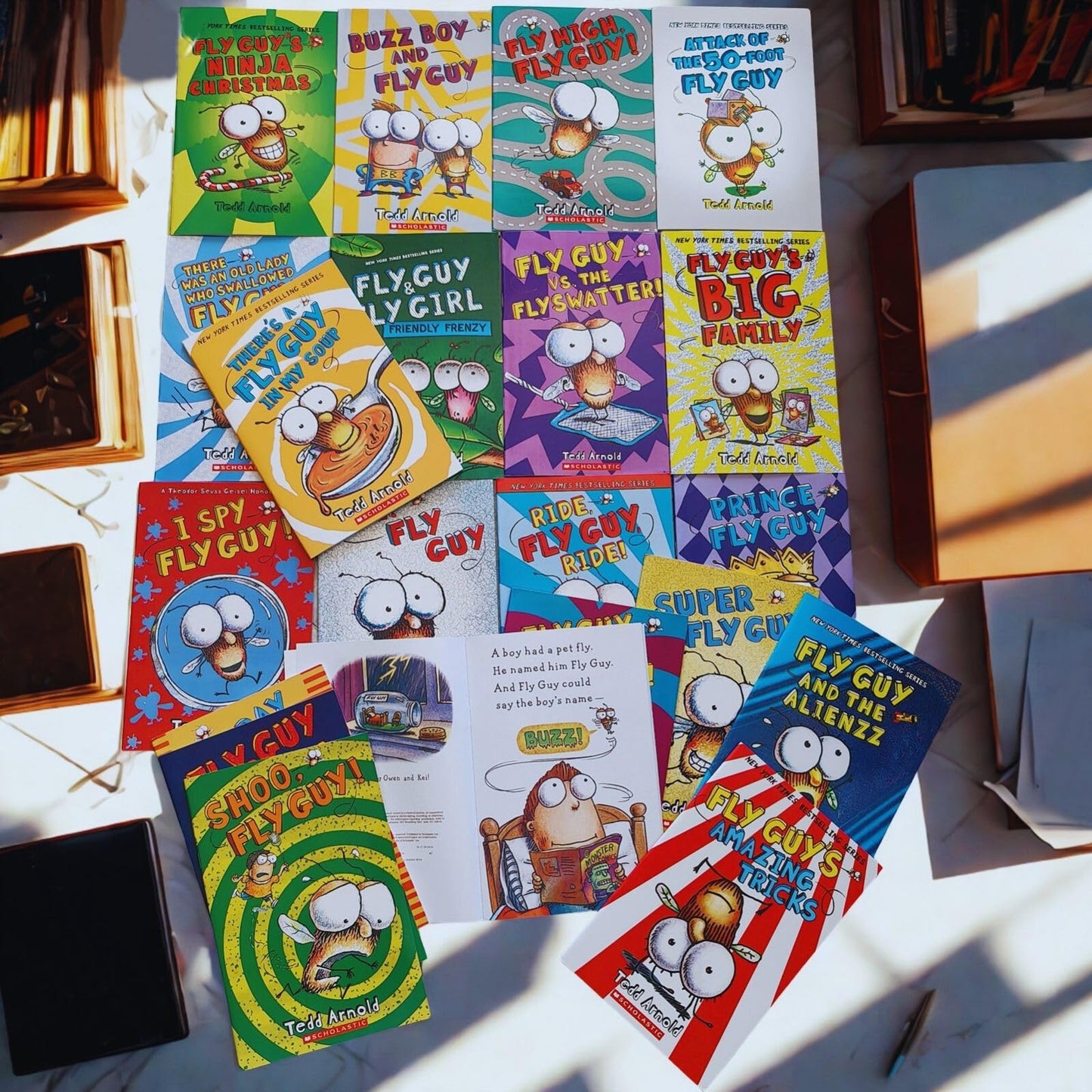 21 Pcs Fly Guy Books Paperback Complete Collection Series Set, Fun English Reading Series for Children Boys Girls