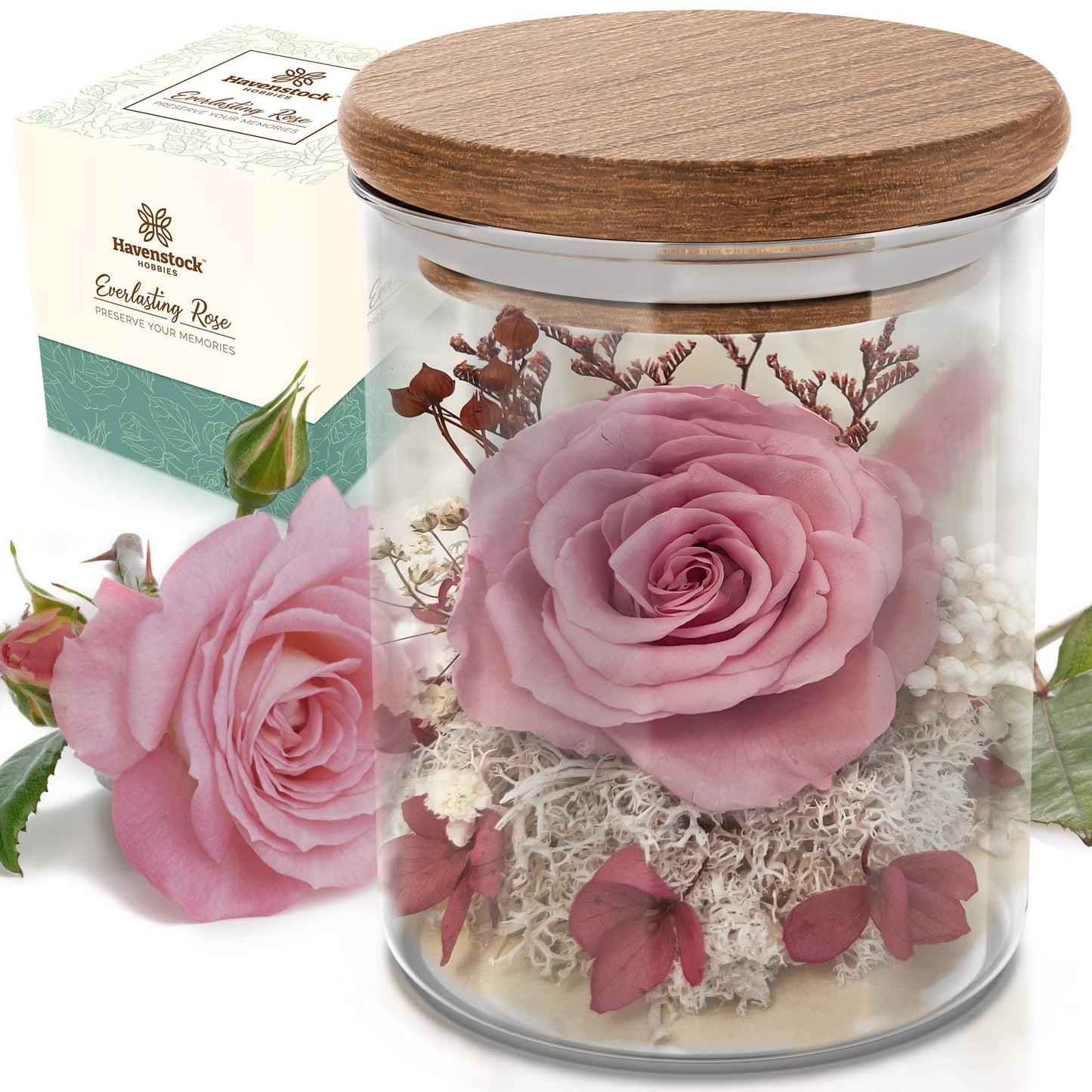Havenstock Pink Rose in a Glass Dome - Premium Real Rose That Lasts a Year or More - Mother's Day Unique Gift for Her - Preserved Rose Decor