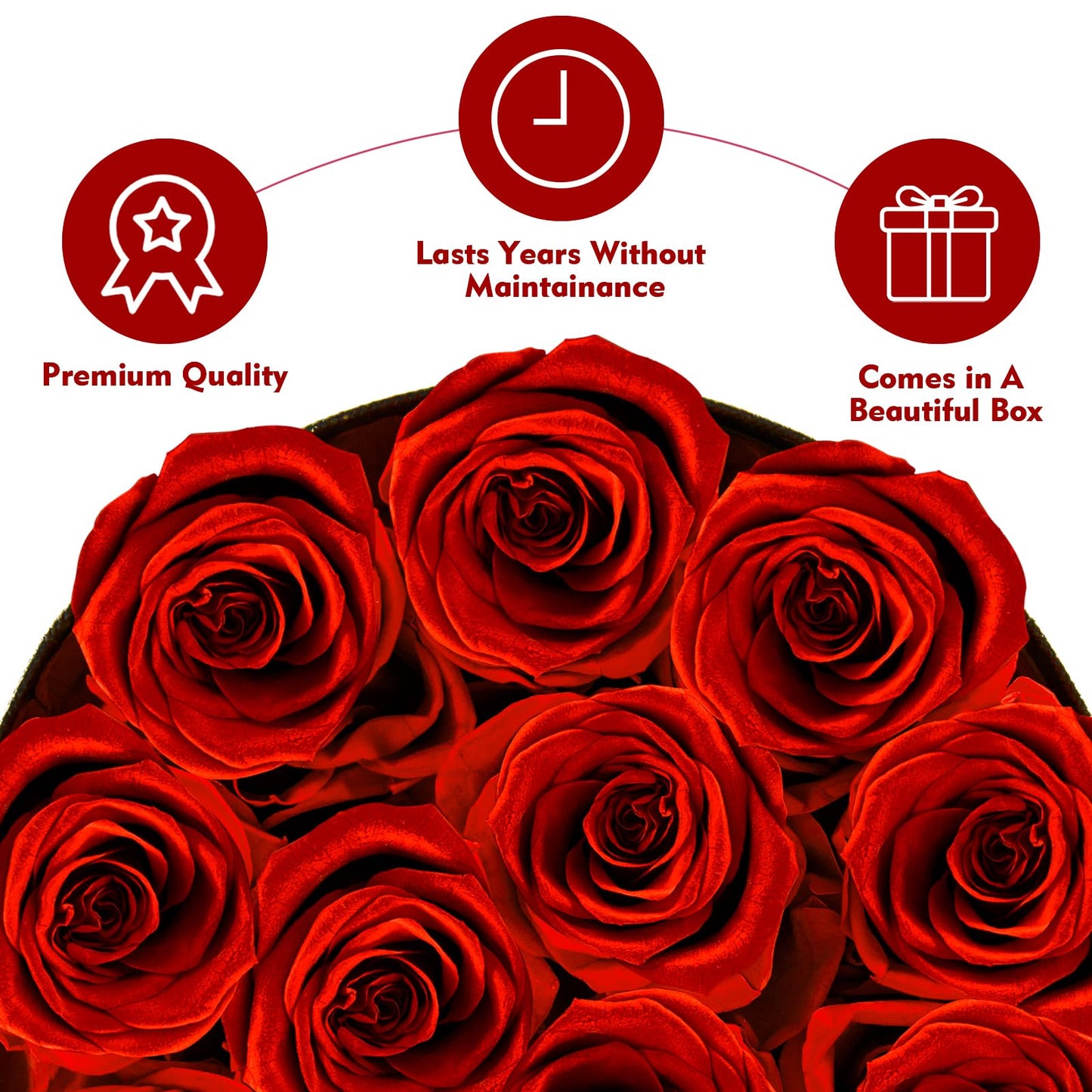Impouo Forever Flowers,12 Red Roses in A Box, Real Preserved Roses, Birthday Gift for Women, Mother's Day, Anniversary Day- Red Roses