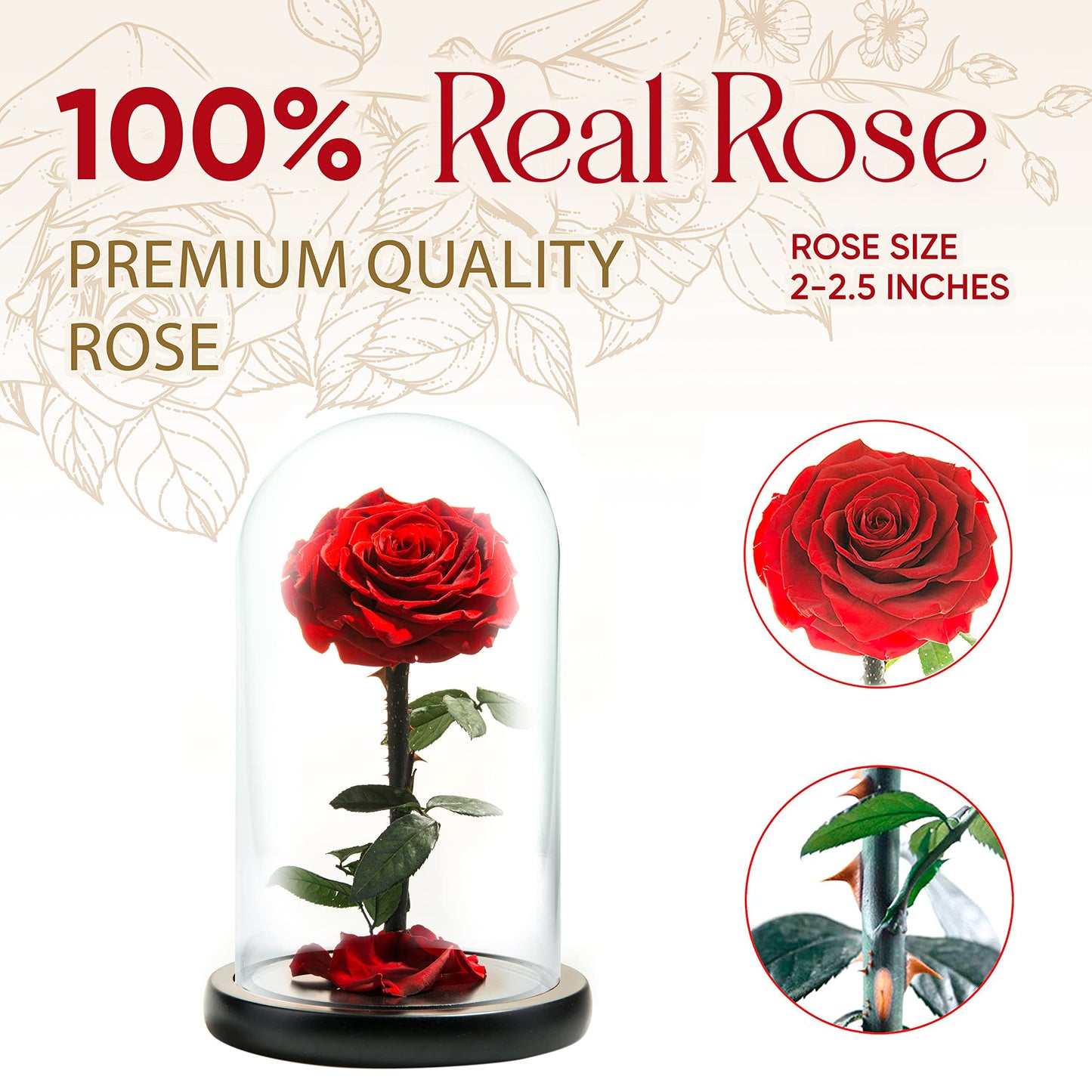LOVAPPY Forever Preserved Rose - Eternal Rose in Glass Dome - Beauty and the Beast Rose - Mothers Day Gifts For Mom - Fresh Flowers in Glass (Red, 9 Inch)