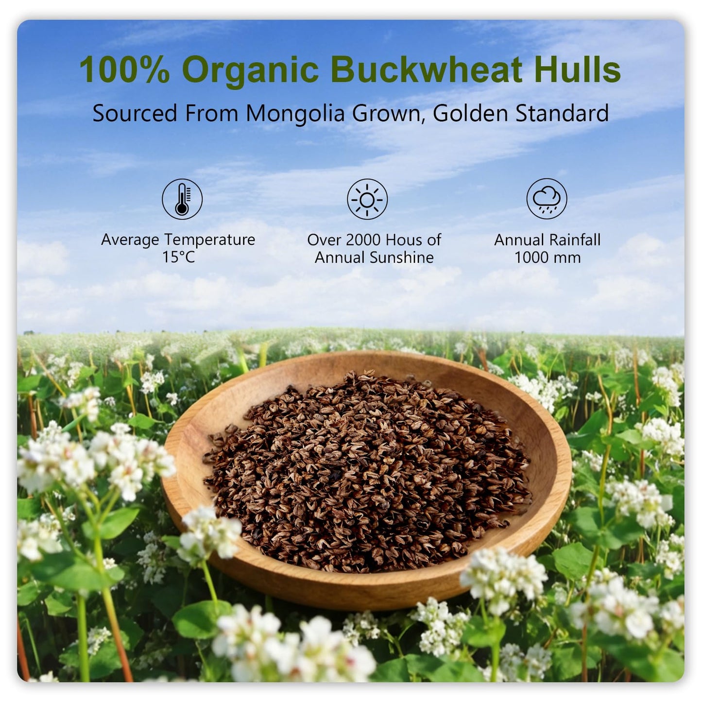 APOBUY 20x26 Large Organic Buckwheat Pillow with Dual-Layer Pillowcase and Extra Tartary Buckwheat Hulls, Adjust Height and Firmness, Neck Support Pillow for Back and Side Sleepers