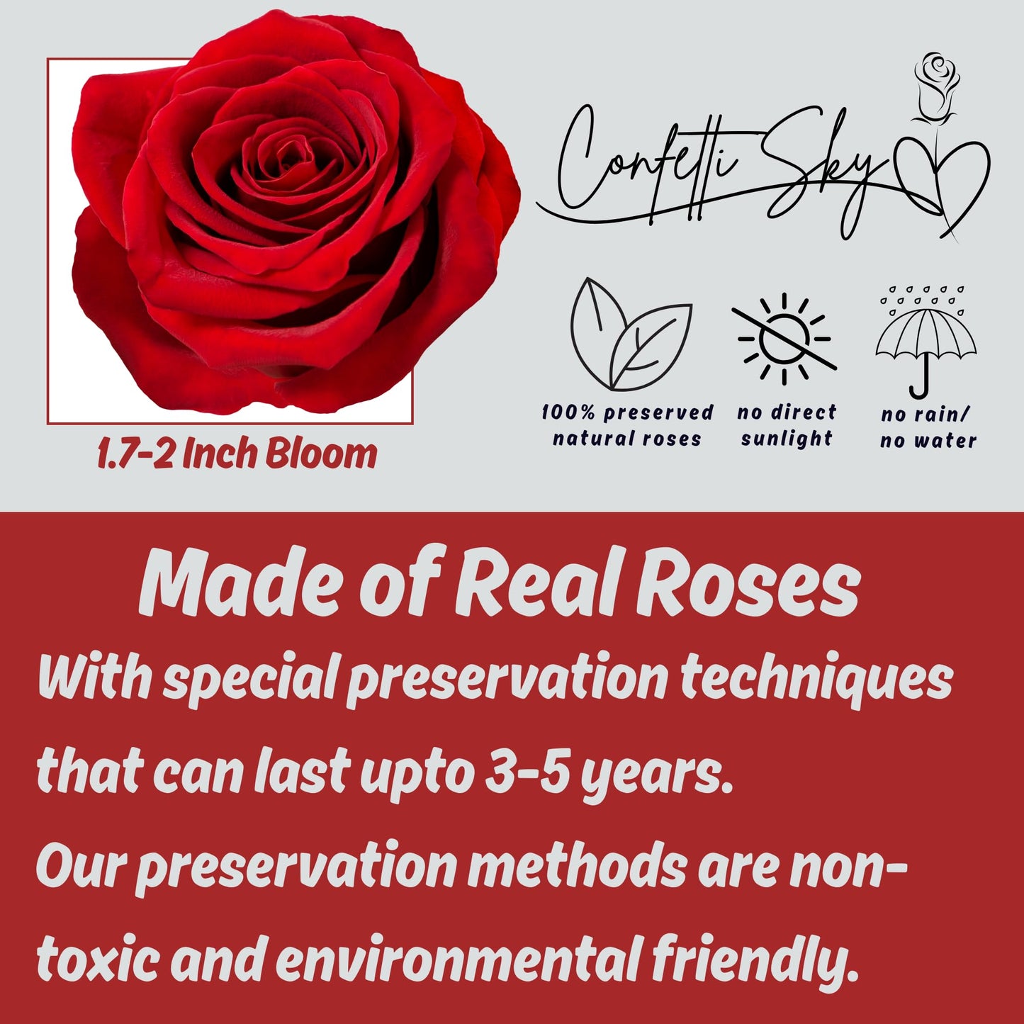 16 Forever Roses in Luxury Heart Box – Real Preserved Flowers Last 3–5 Years | Eternal Rose Gift for Her, Mom, Wife | Birthday, Anniversary, Valentine's Day, Mother's Day | Flowers for Delivery Prime