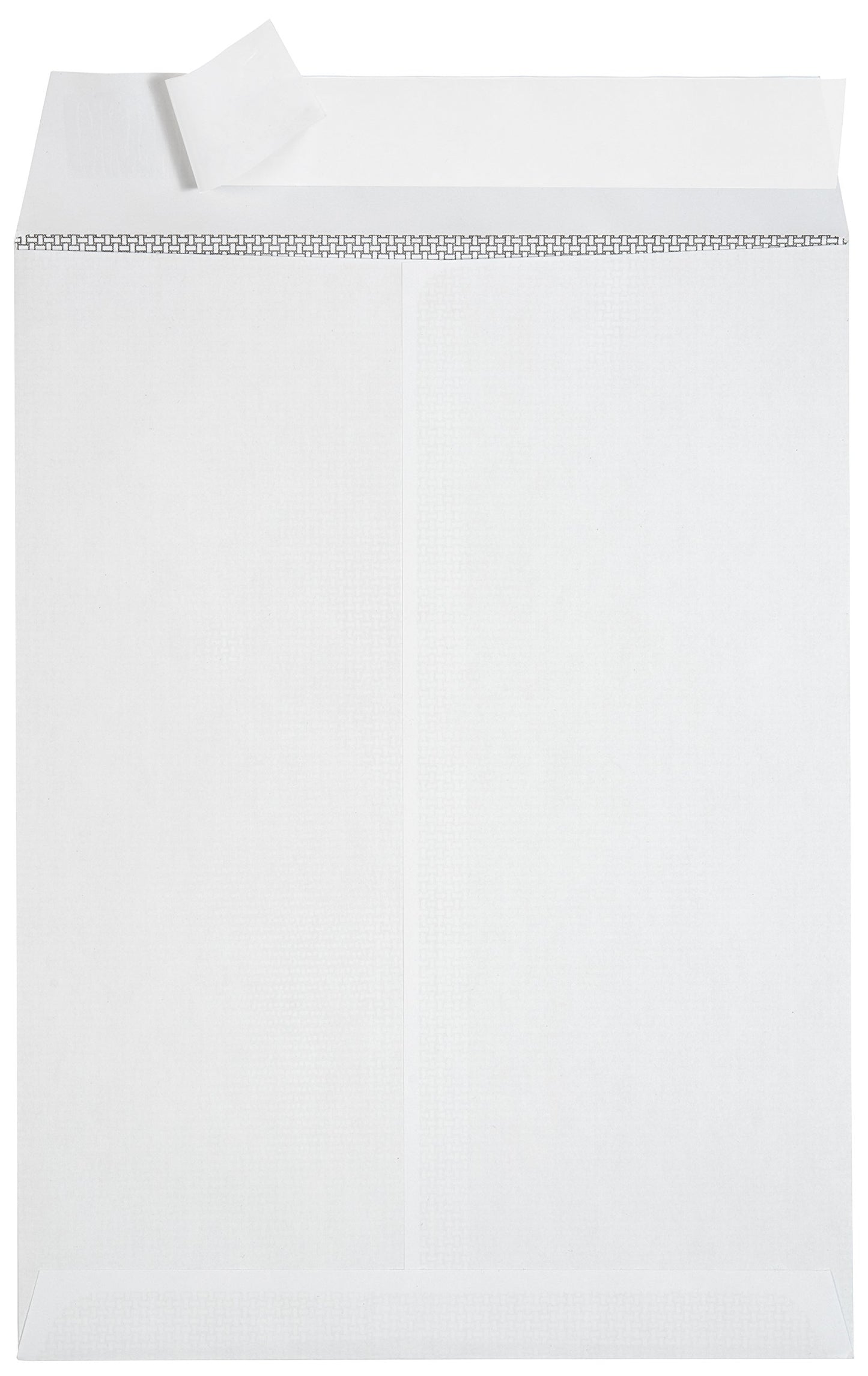 250 6 X 9 Self Seal Security Catalog Envelopes, Designed for Secure Mailing, Securely Holds Small Booklets, Catalogs, Cards, or Brochures with Strong Peel and Seal Flap, 250 Envelopes