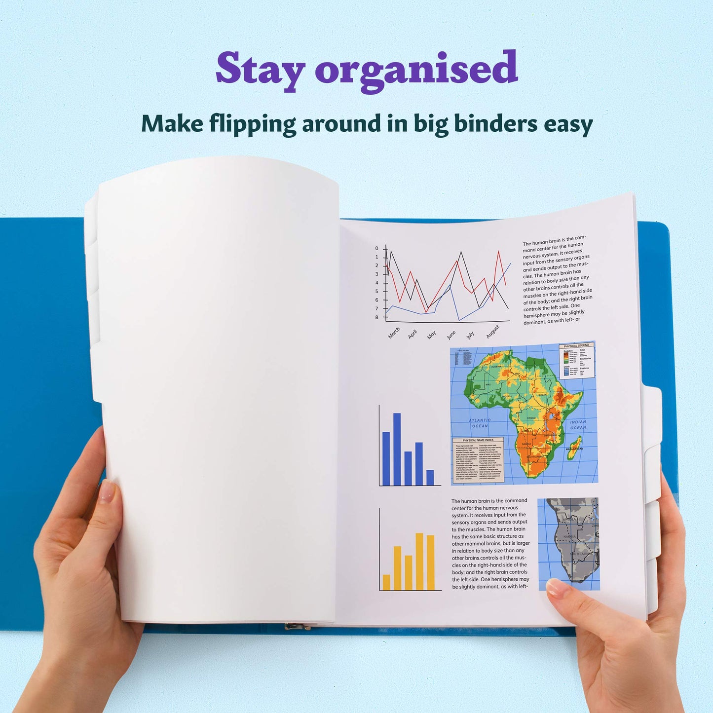 Binder Dividers with Tabs - (Set of 36) x 8 Tab Dividers for 3 Ring Binders, White, Reinforced Edge - Ideal for Keeping Your Documents Neat and Professional