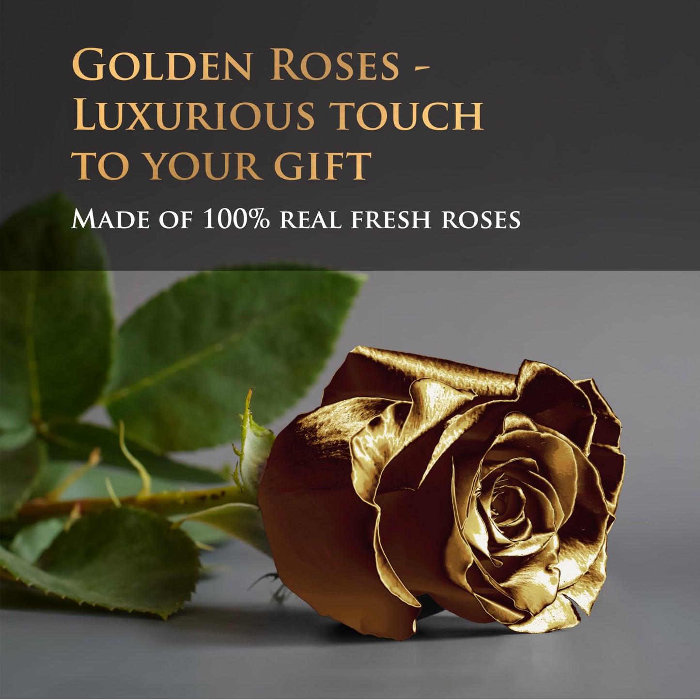 17 Black & Gold Forever Roses, Velvet Box - Luxury Black Roses, Graduation Flowers, Golden Roses, Preserved Rose Gifts for Women, Flowers for Teacher, Black Roses for Delivery Prime
