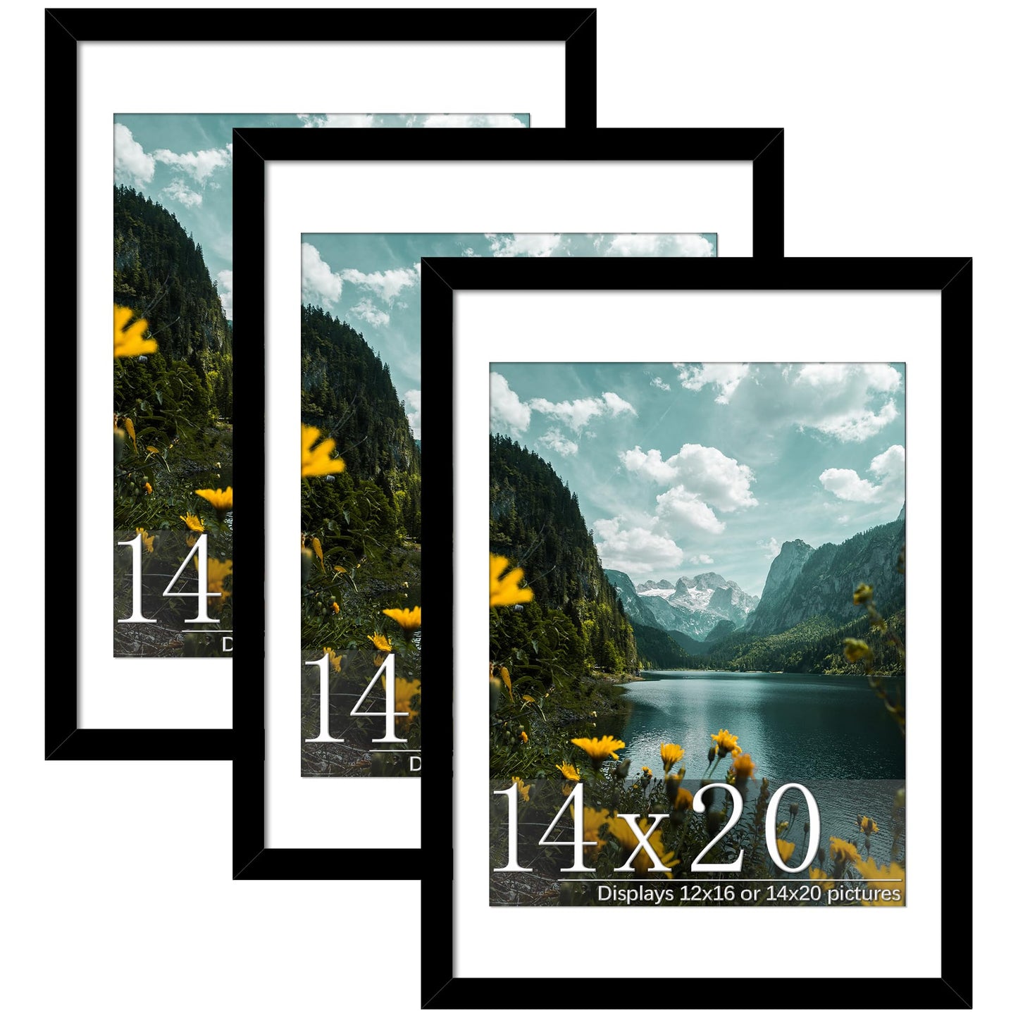 Picrit 14x20 Picture Frame 3 Pack, Black Poster Frame, Display Poster 12 x 16 with Mat or 14 x 20 without Mat for Horizontal or Vertical Wall Mounting