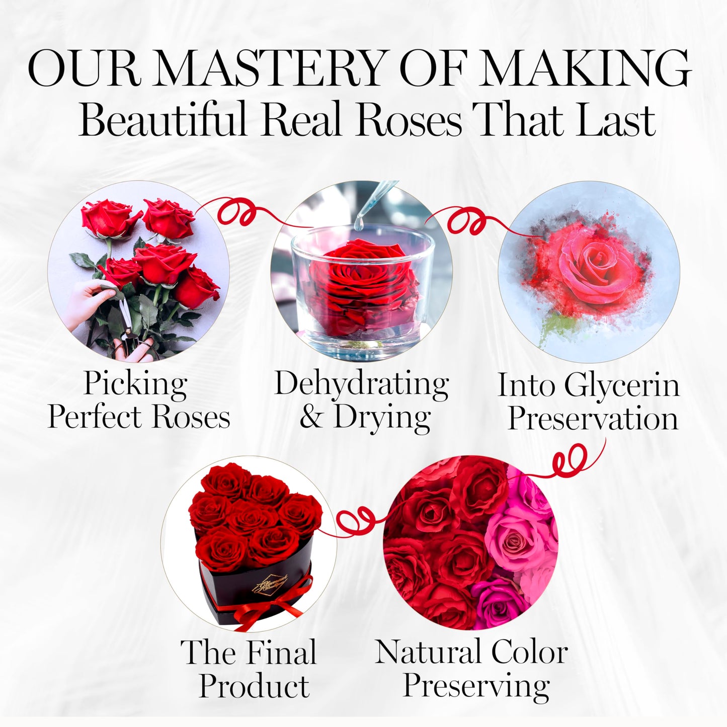 GLAMOUR BOUTIQUE 7 Flower Forever Heart Shape Box, Mothers Day Gift For Mom, Eternal Preserved Roses Gift for Her, Flowers bouquet, For Birthday, Anniversary, Girlfriend - Red