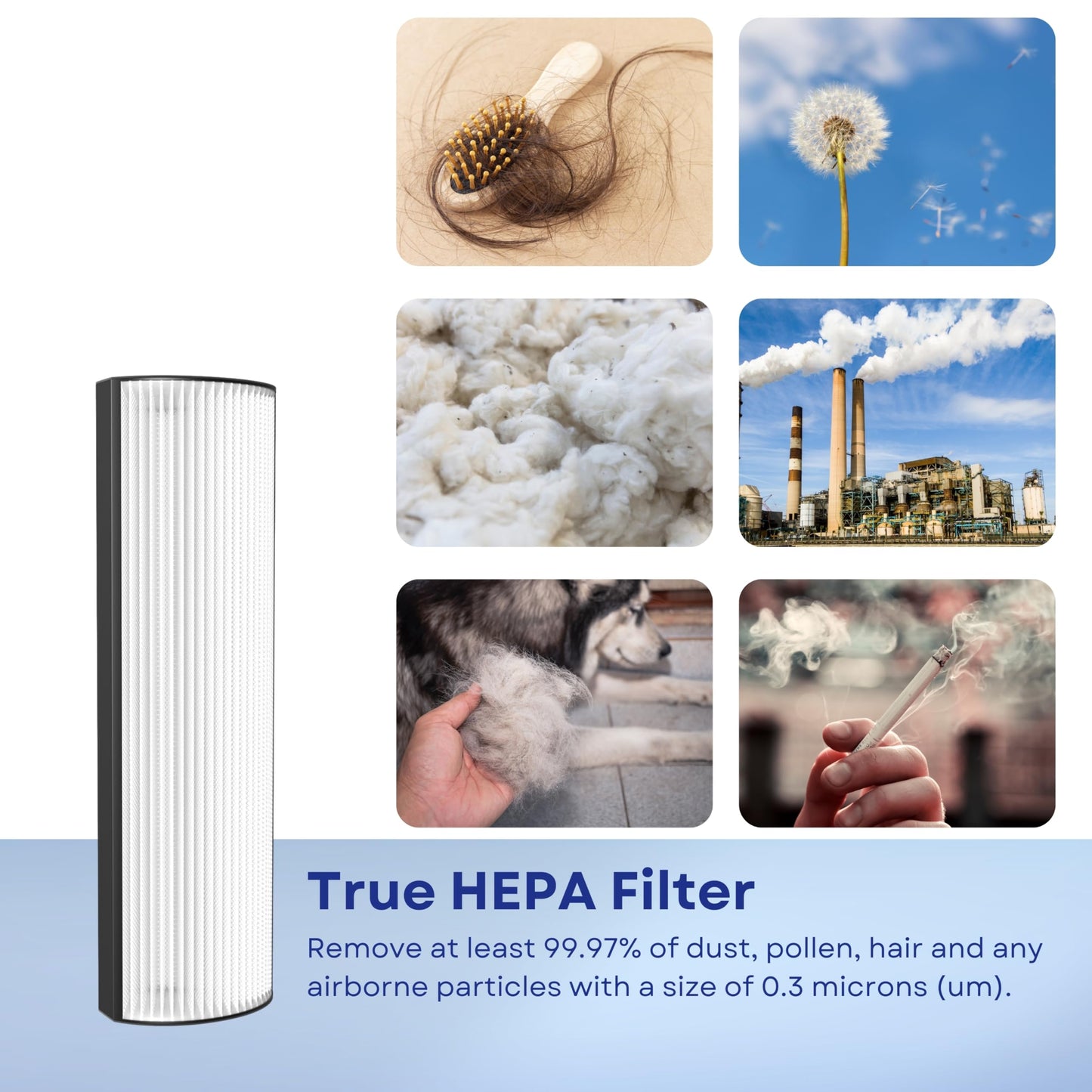 Nispira TPP440 TPP440F Filter Replacement for Envion Therapure TPP540 TPP640 TPP640S AP200 Air Purifier True HEPA with Activated Carbon, 2 Packs