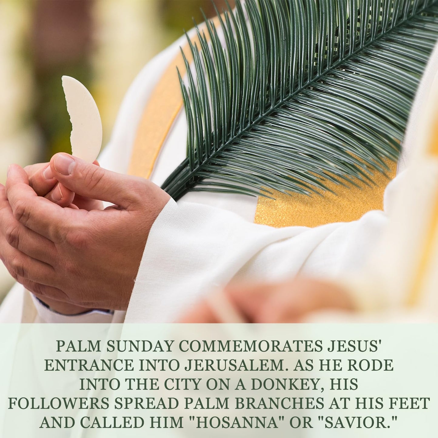 Hotop 50 Pcs Passover Large Palm Leaves 31 Inches Feast of Tabernacles Artificial Fake Palm Luau Party Greenery Leaves for Safari Jungle Stems Fronds Plant Beach Party Supplies
