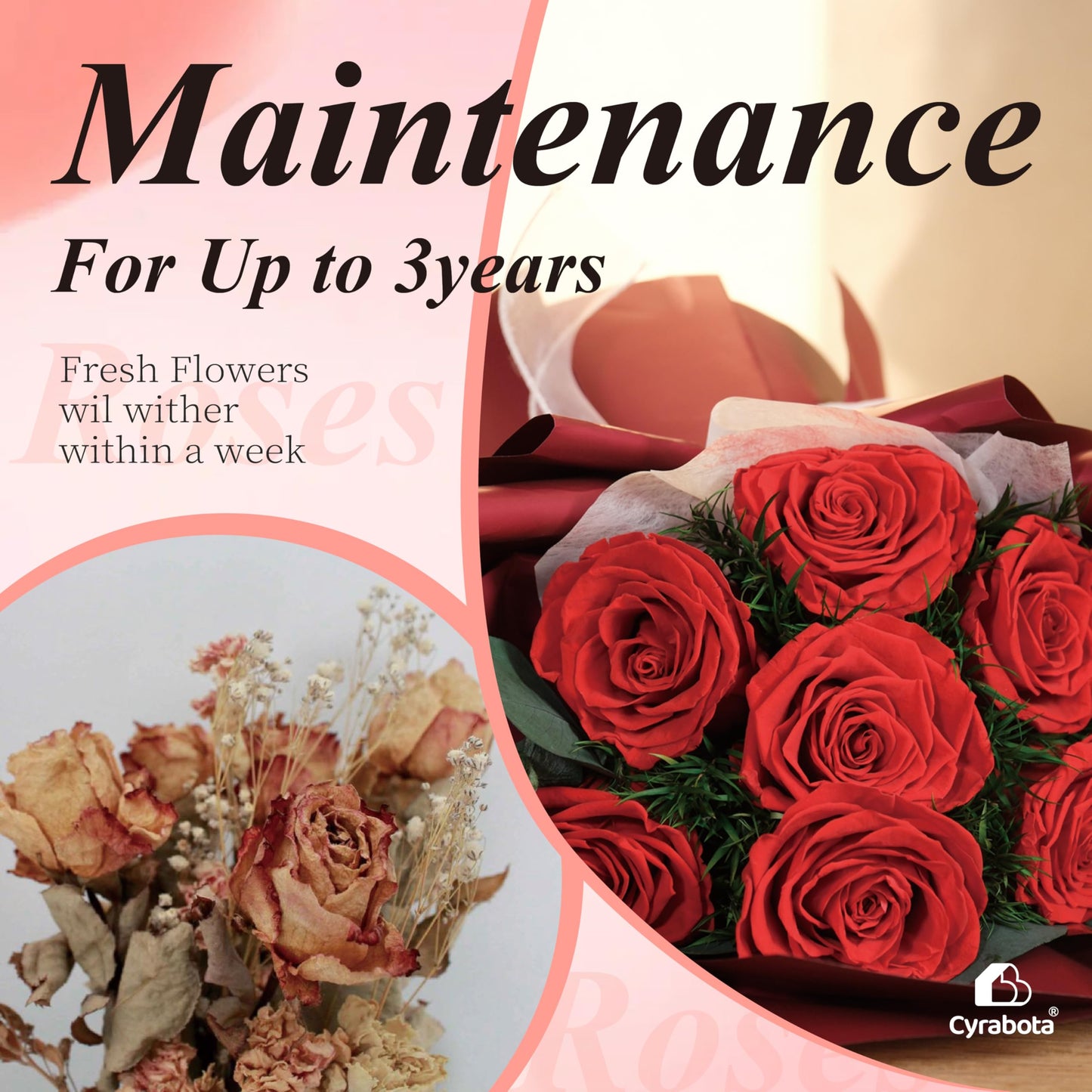 Preserved Red Rose Bouquet, 7 Pcs Real Forever Flowers Last 3+ Years, Gifts for Valentine's Day Mother's Day, for Wife Girlfriend Mom Her