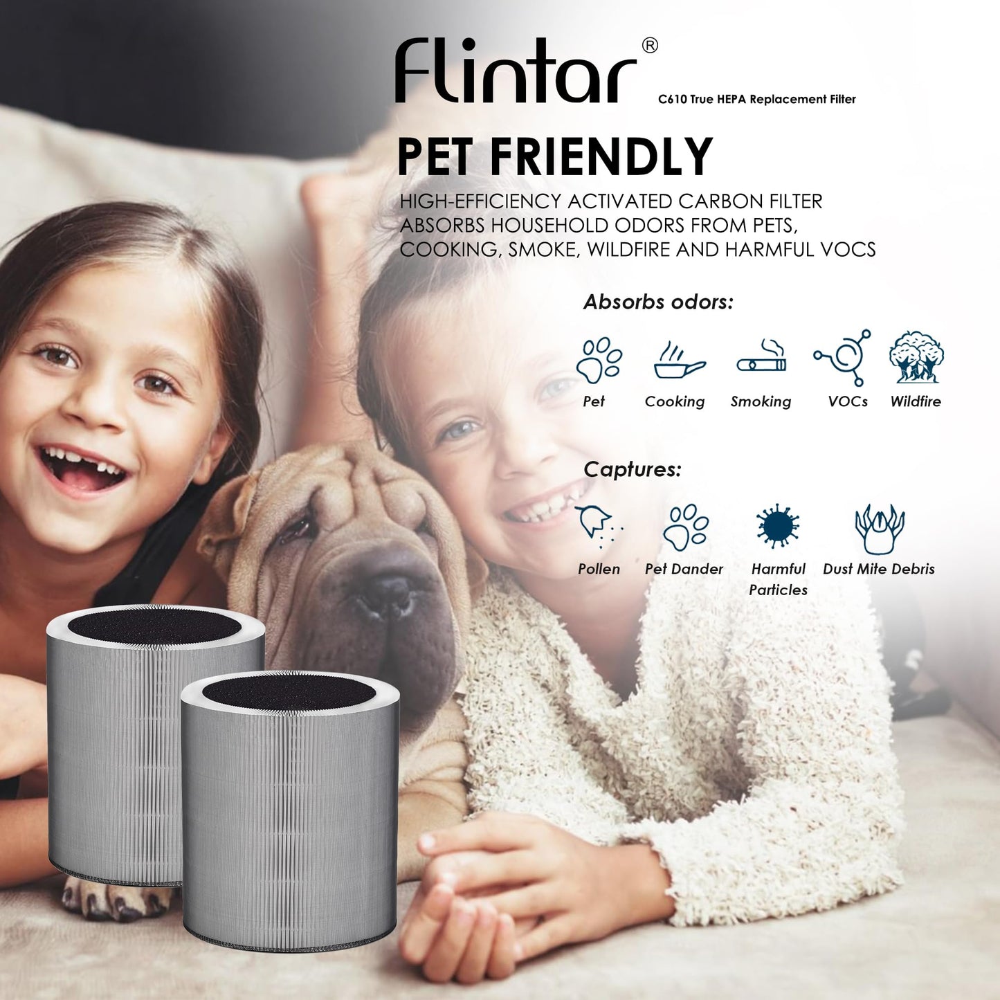 Flintar C610 Replacement Filter Z, Made in Taiwan, Compatible with Winix C610 Air Purifier, 1712-0121-00, 3-in-1 H13 True HEPA with Activated Carbon and Pre-Filter, 2-Pack