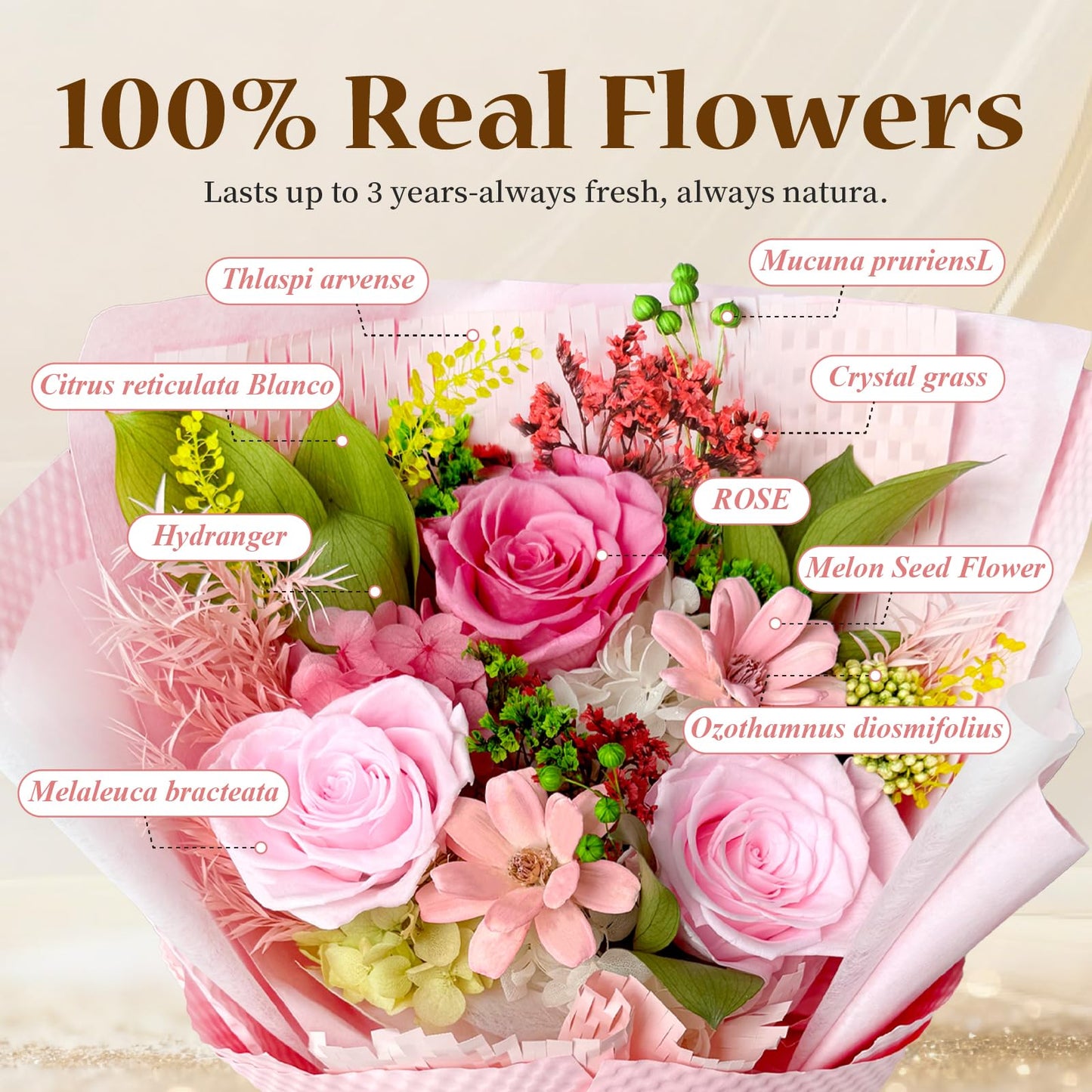 Cyrabota Preserved Roses Bouquet with Vase - Pink Real Eternal Roses that Last 1-3 Years - Forever Flowers Valentines Day Gifts for Her, Home Decor Centerpiece