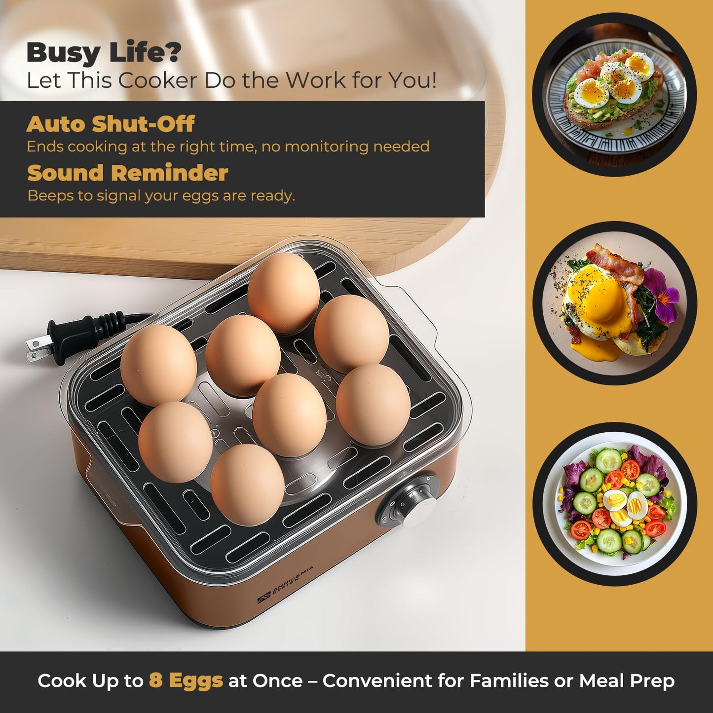 Annie & Mia Design Stainless Steel Electric Rapid Egg Cooker, 8 Egg Capacity 500W, Soft/Medium/Hard Boiled Egg Boiler Poacher Steamer Omelet Maker, Knob Auto Shut-Off, with Recipe Guide Book (Gold)