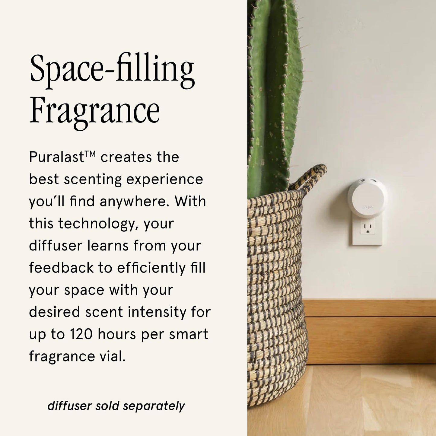 Pura & Mersea Home Scent Refill - Smart Air Diffuser - Up to 120-Hours of Luxury Fragrance per Refill - Home Essential - Clean & Safe Diffuser Fragrance - 2 Pack, Coconut Sugar