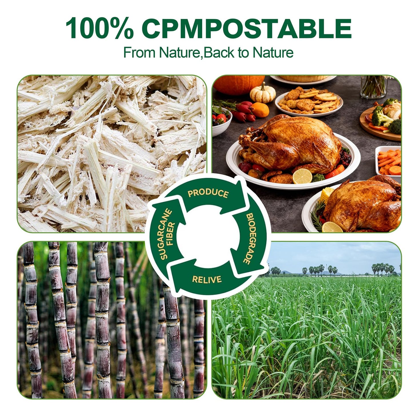 DaYammi 100% Compostable Oval Paper Plates 12 Inch, 125-Pack Heavy Duty Paper Plates Bulk,Biodegradable Bagasse,Eco-Friendly Disposable Dinner Plate for BBQ,Picnic,Party (BPI Certified,Microwaveable)