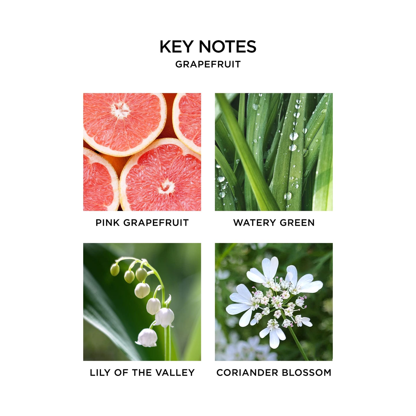 NEST New York Wall Diffuser Set, Grapefruit - Includes 1 Diffuser Unit + 1 Refill - Up to 30 Days of Continuous Scent - Cruelty Free, Vegan - Made in USA