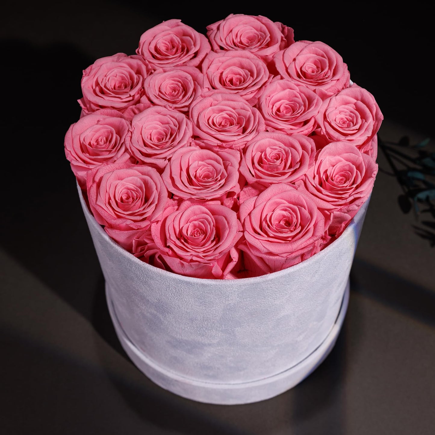 Prifroti 17 Flowers in a Luxury Suede Box, Birthday Gifts for Women, Preserved Flowers, Mothers Day Roses Gift for Mom, Light Pink