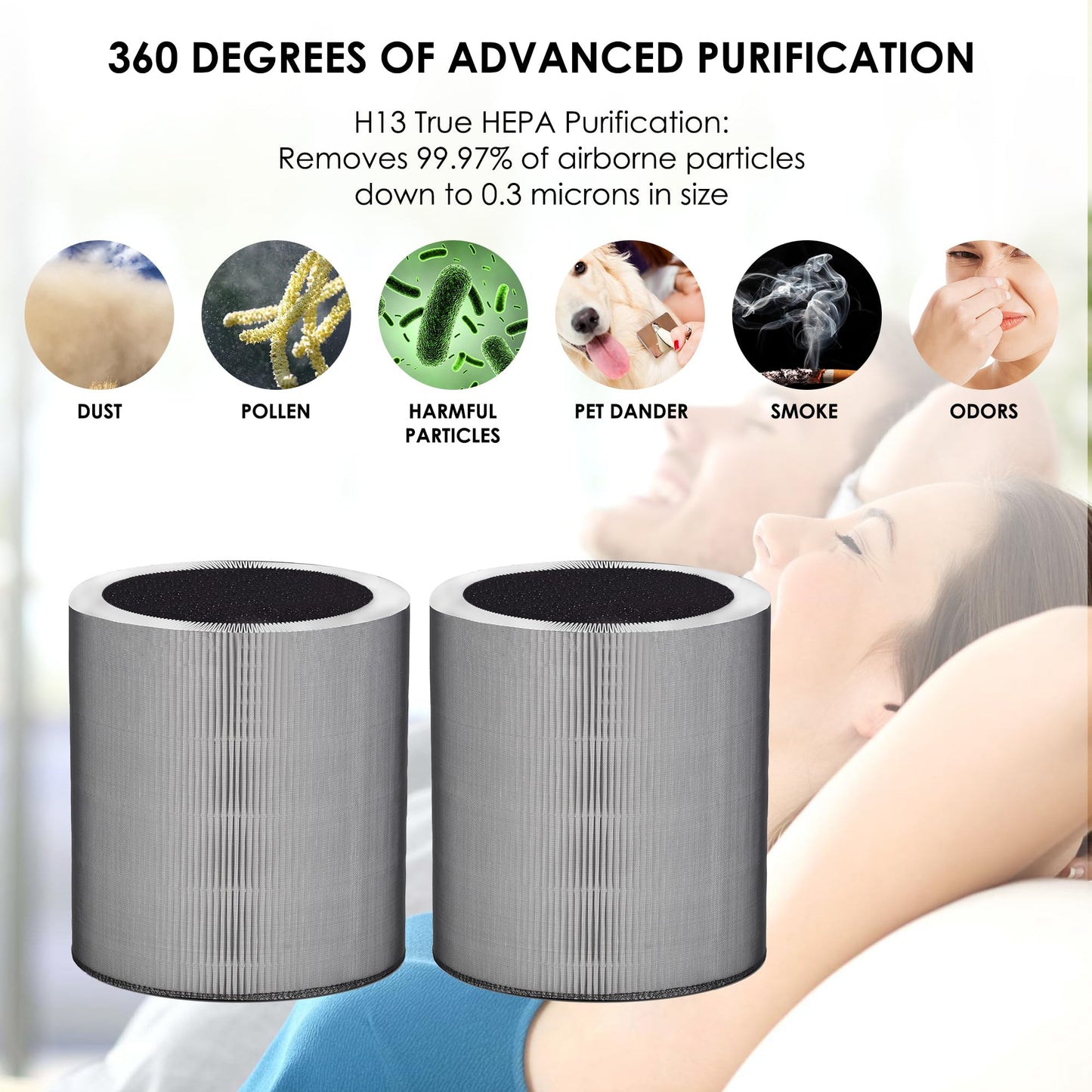 Flintar C610 Replacement Filter Z, Made in Taiwan, Compatible with Winix C610 Air Purifier, 1712-0121-00, 3-in-1 H13 True HEPA with Activated Carbon and Pre-Filter, 2-Pack