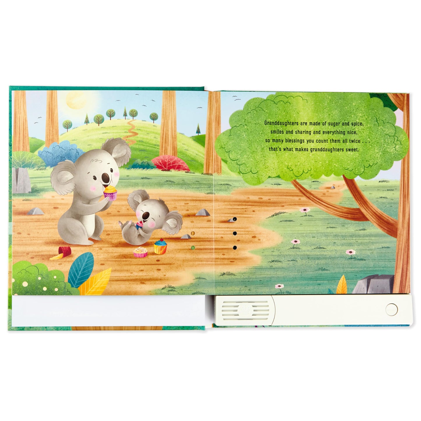 Hallmark Recordable Book for Children (What are Granddaughters Made of?)