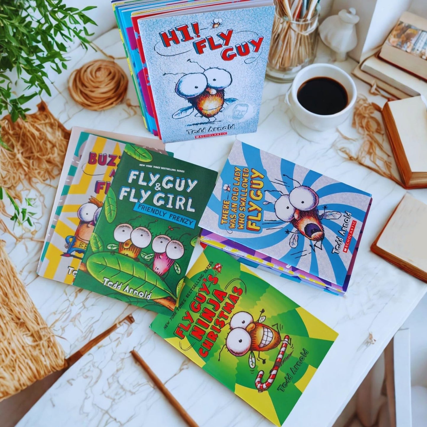 21 Pcs Fly Guy Books Paperback Complete Collection Series Set, Fun English Reading Series for Children Boys Girls