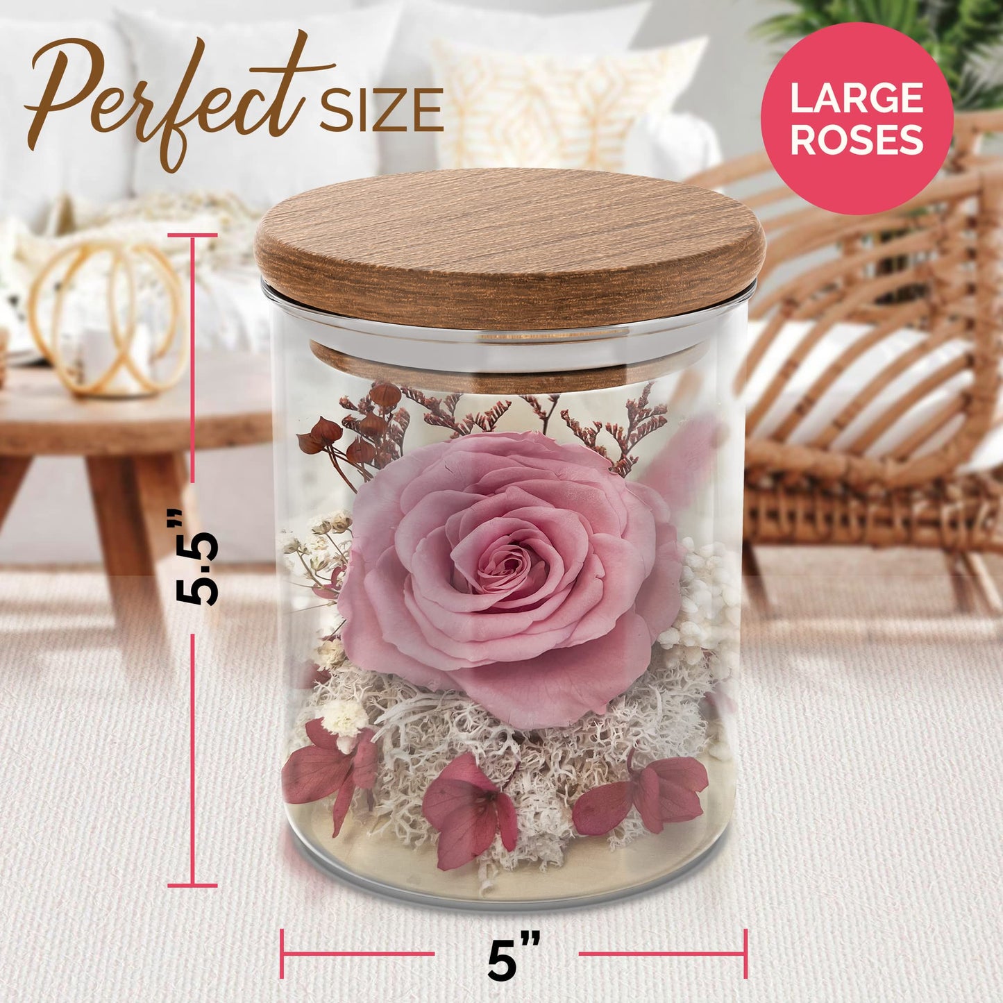 Havenstock Pink Rose in a Glass Dome - Premium Real Rose That Lasts a Year or More - Mother's Day Unique Gift for Her - Preserved Rose Decor