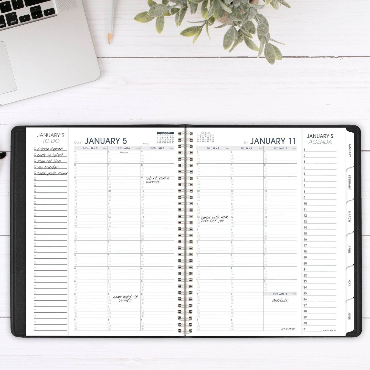 AT-A-GLANCE 2026 Appointment Book Planner, Weekly & Monthly, 8-1/4" x 11", Quarter-Hourly, Triple View, Black (70950V0526)
