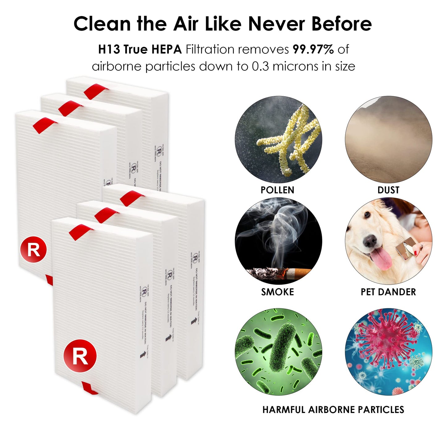 Flintar Replacement Filter R, Compatible with Honeywell Air Purifier HPA300, HPA200, HPA 100 and HPA 5000 Series, HRF-R6, 6-Pack