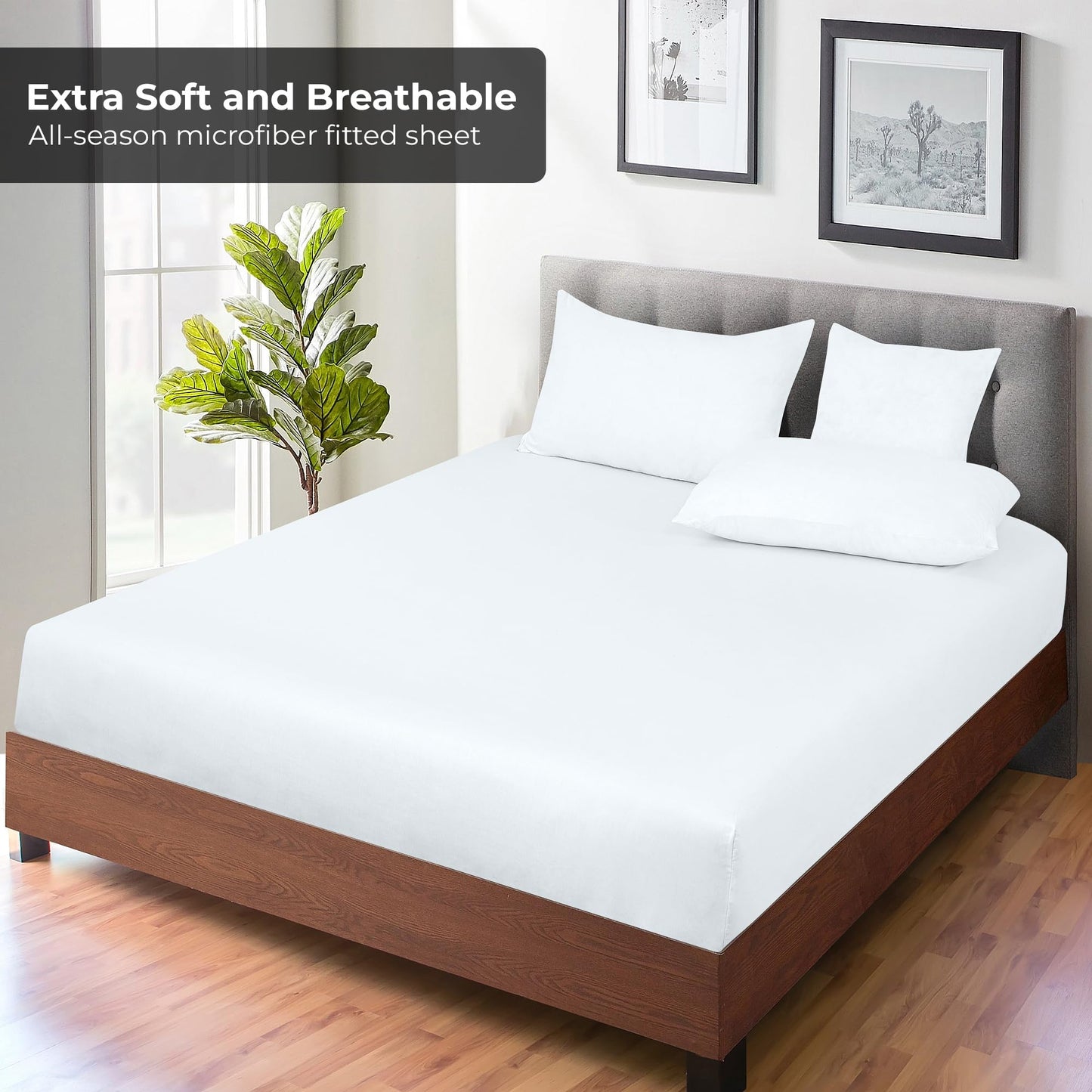 Royale Linens 6 Pack Queen Fitted Sheet Set - Bottom Sheet - Ultra Soft & Breathable - Brushed 1800 Microfiber - Wrinkle & Stain Resistant - Hotel Quality Deep Pocket Stretch Up to 16" (Queen, White)