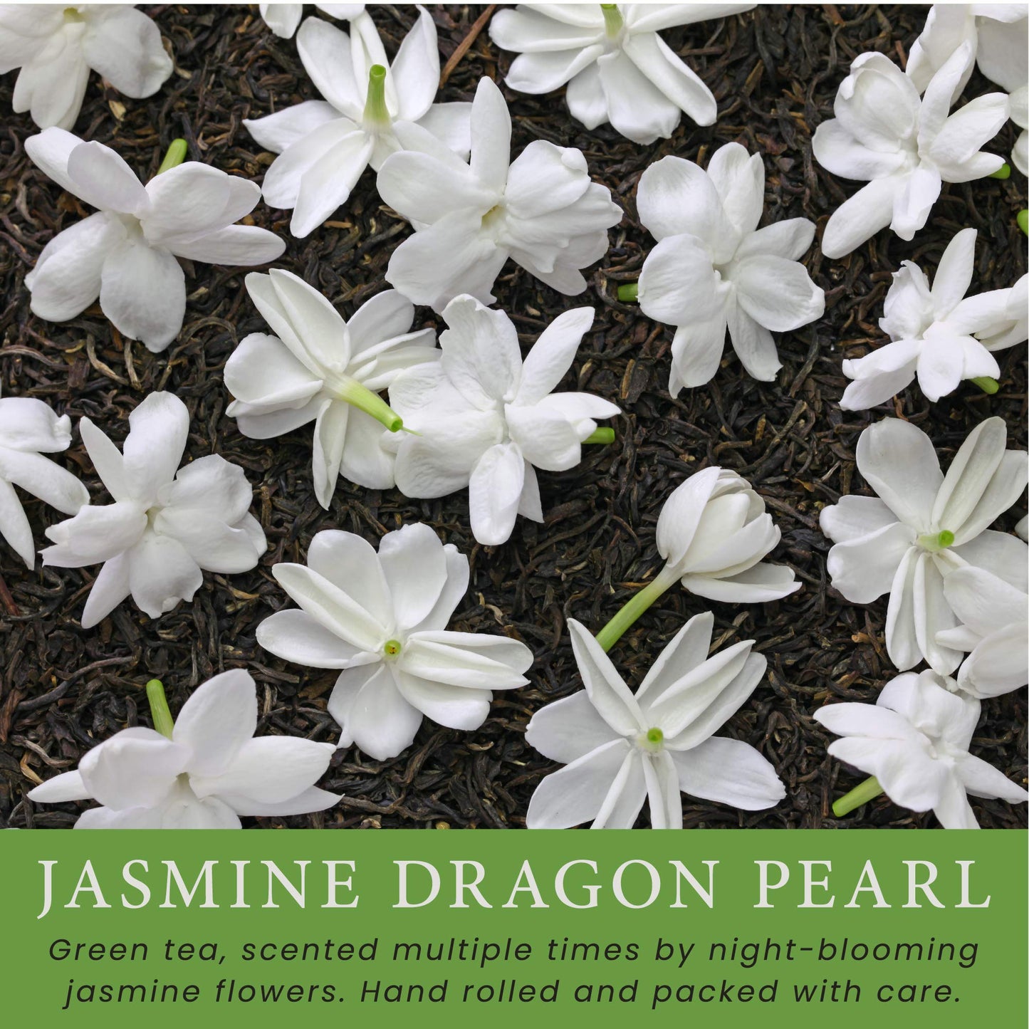 MagJo Jasmine Dragon Pearls, Rolled Green Tea 1 lb