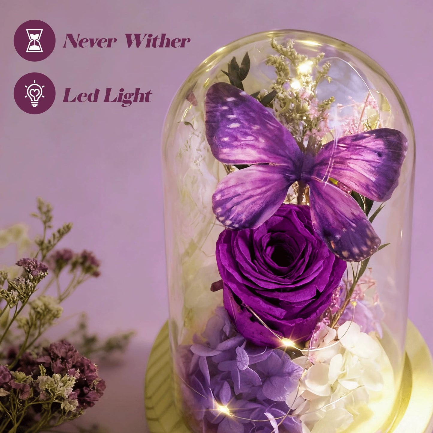 JIGQGY Forever Flowers Preserved Roses Prime Delivery, with Light in Glass Dome for Mom Grandma Wife Girlfriend, Purple Flower for Mother's Day, Valentine's Day, Anniversary, Birthday