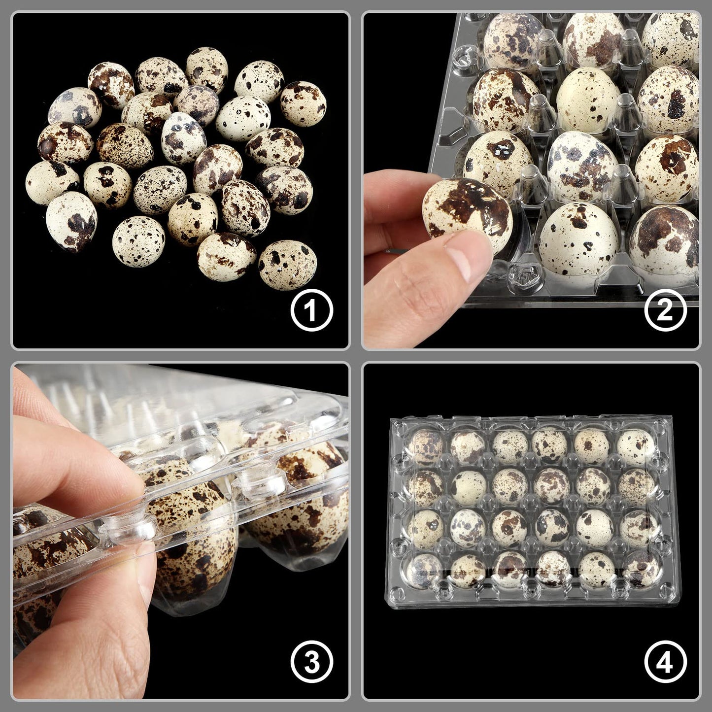 ACXFOND 100 Pcs Quail Egg Cartons, 24 Grids Clear Quail Egg Cartons, Reusable Quail Egg Cartons Cheap Bulk, Plastic Stackable Egg Storage Box for Small Eggs,Quail,Pheasant,Pigeon Eggs