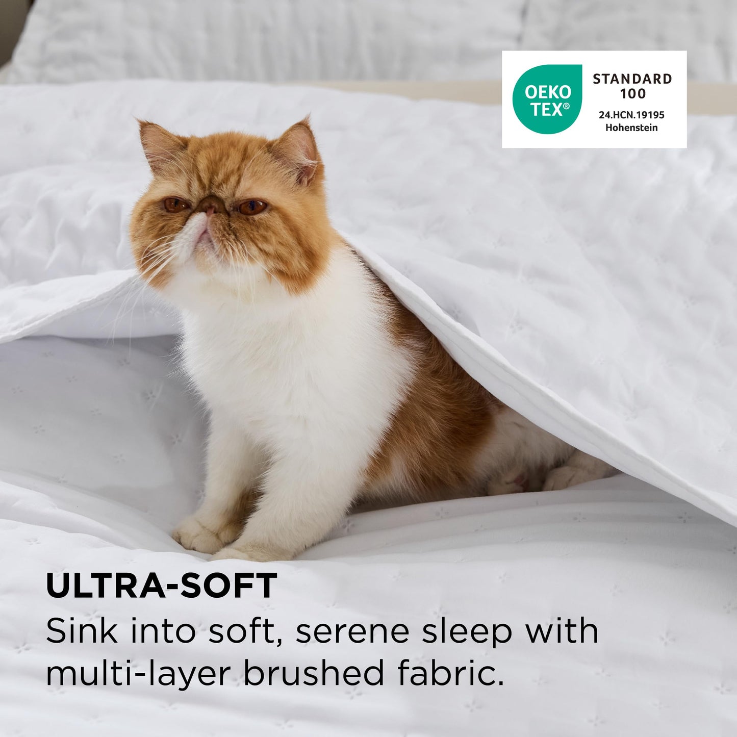 Bedsure Quilts Queen Size - Bright White Bedspread Queen Size & Lightweight Comforter, Modern Coverlet with Clover Pattern, Ultra Soft All-Season Bedding, 90 x 96 Inches