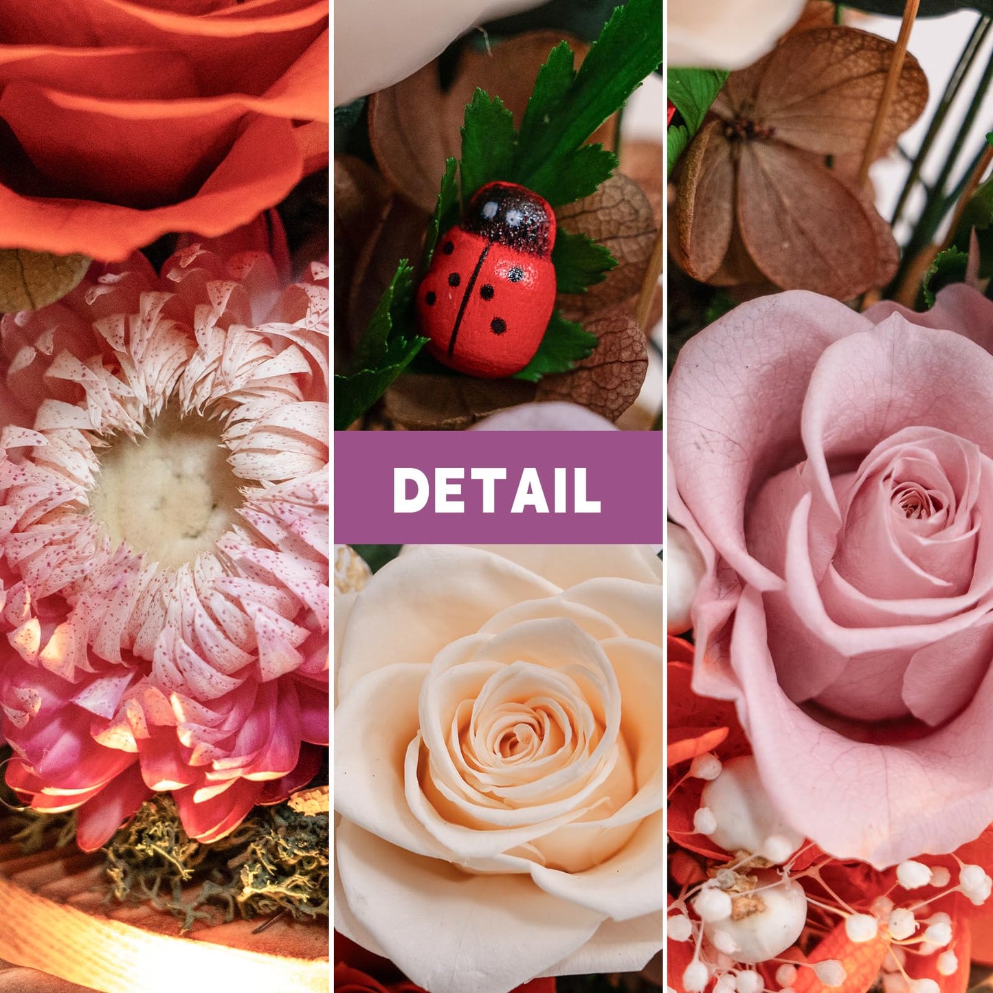 HUACHIPLUS Forever Flower Gifts for MOM:Perfect Mothers Day Flowers for Mom Wife Grandma-Preserved Flower with Symbolic Ladybugs–Flowers for Delivery Prime on Anniversary Birthday (Orange)