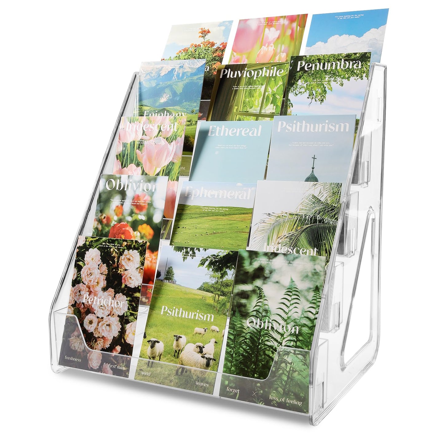 TrendTrust Trading Card Display Stand, Vertical Holder for Baseball Basketball Sports Graded Card Display Stand Tabletop for PSA BGS SGC Slabs, Snap-On Assembly(5 Tier, 2 Pack)