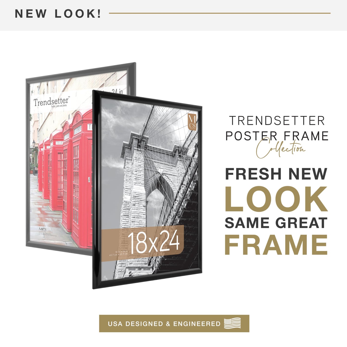 MCS Trendsetter 18x24 Poster Frame Black High-Gloss, Vertical & Horizontal Wall Hanging Large Picture Frame for Photos, Posters & Art Prints (2-Pack)