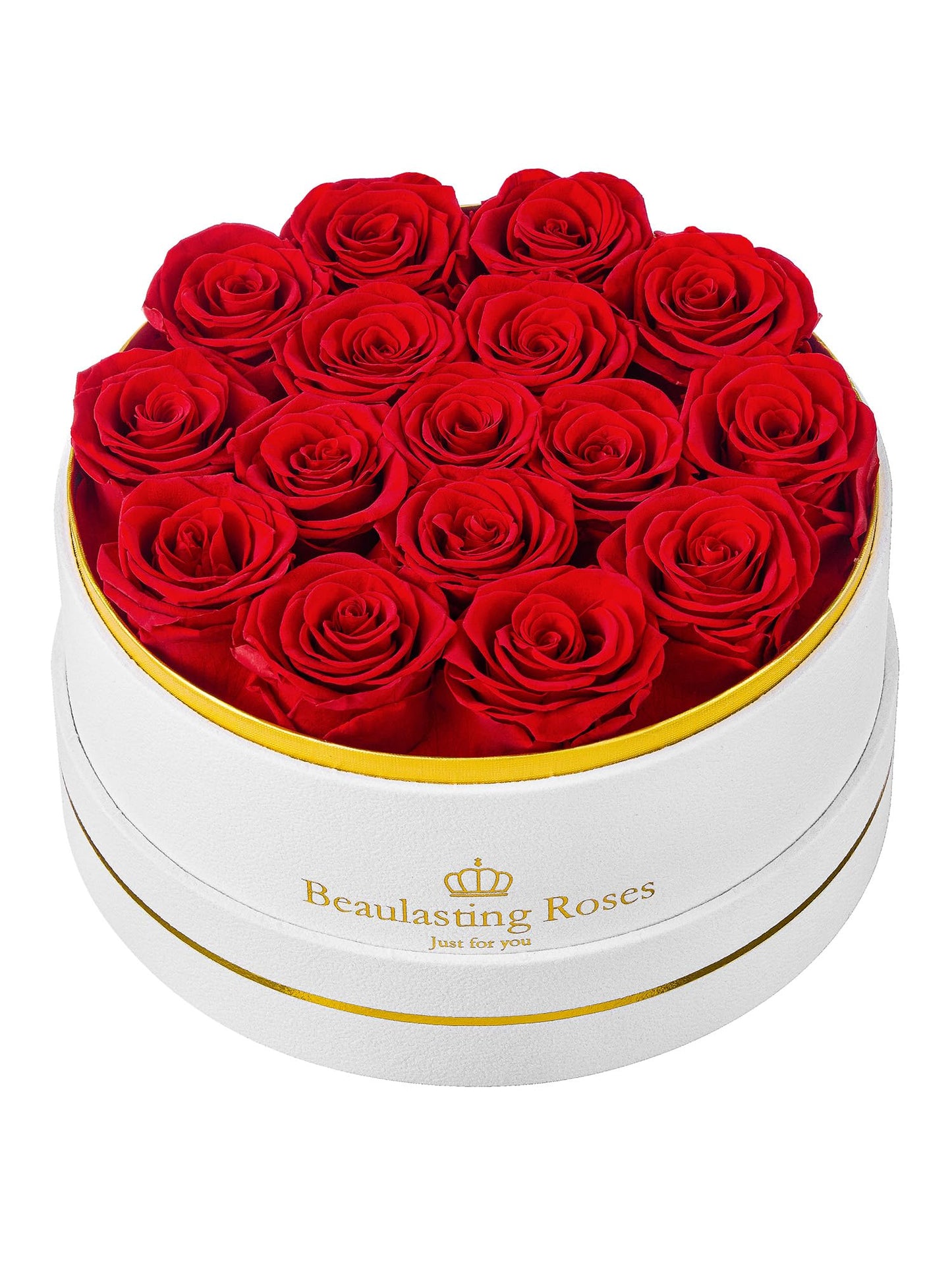 16 Preserved Roses Forever Flowers Real Roses in a Box Mother's Day Birthday Flowers for Her Mom Women Wife Valentine's Day, Red Roses