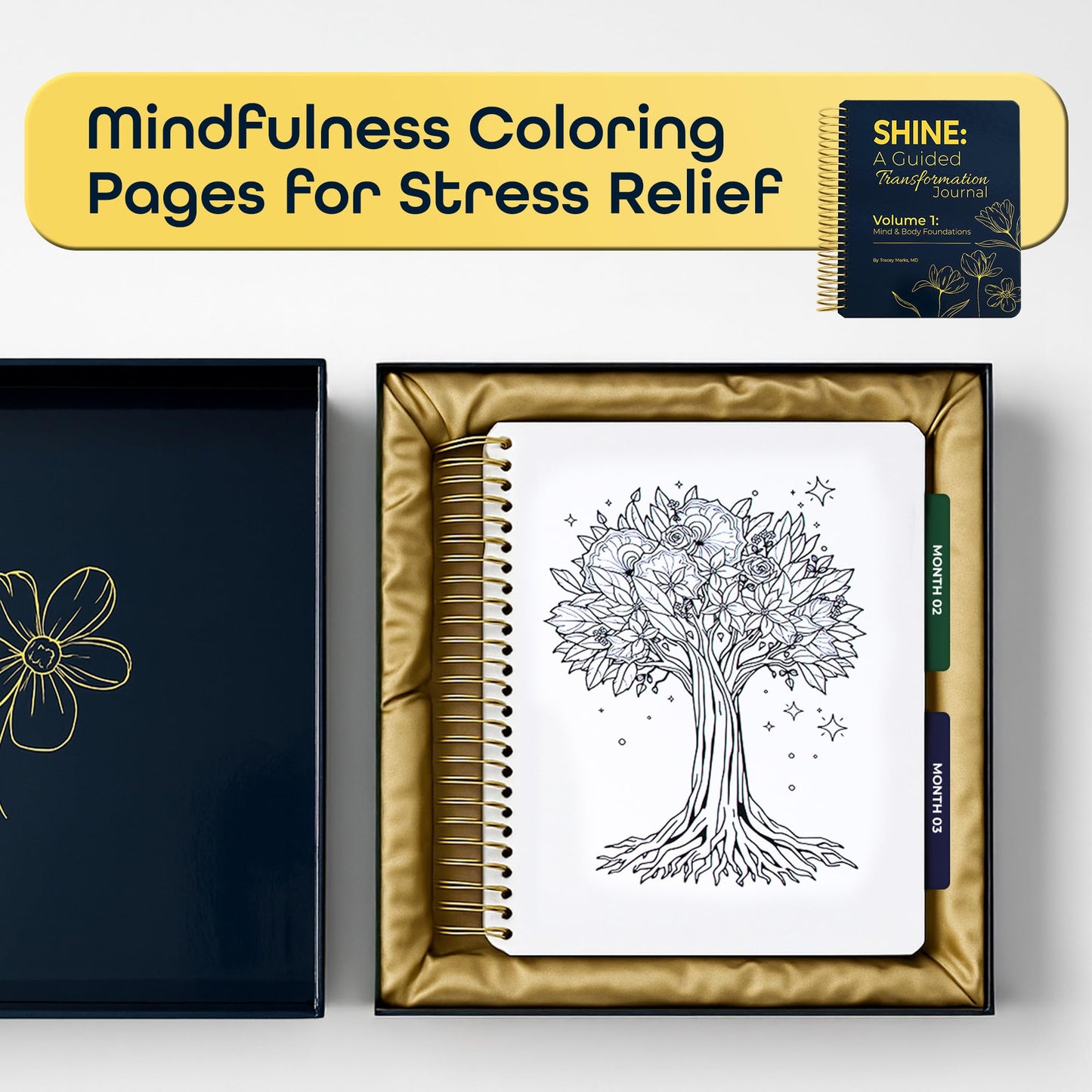 SHINE: A Guided Transformation Journal by Dr. Tracey Marks | 12-Week Mental Health, Gratitude & Self-Care Workbook for Women & Men | Mindset Reframing Prompts, Affirmations, Emotion Wheel | Vol 1