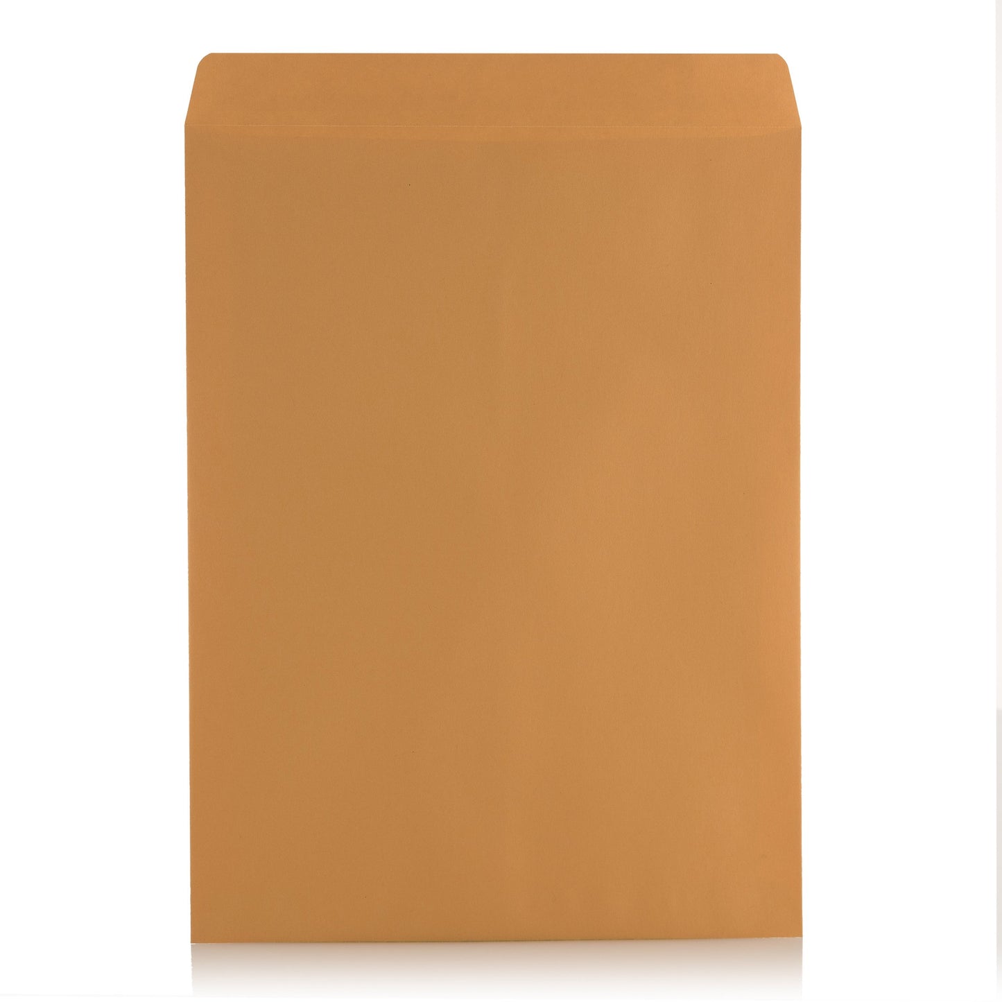 9 X 12 Self-Seal Brown Kraft Catalog Mailing Envelopes - 28lb - 250 Count, 9x12 Inch (38302)