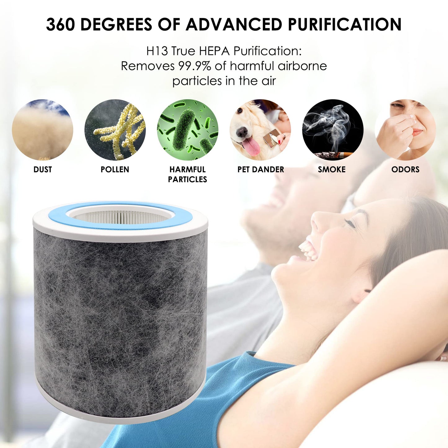 Flintar HP102 Replacement Filter, Made in TAIWAN, Compatible with Shark Air Purifier HP100, HP102, HC450, HC451, HC452, HC455, Compares to Part # HE1FKBAS and HE1FKPET (2-Pack)