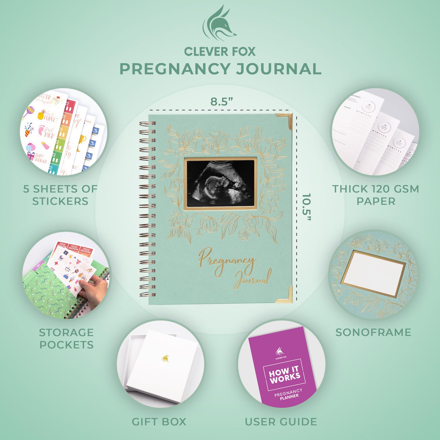 Clever Fox Pregnancy Journal & Memory Book - Pregnancy Planner & Notebook for Expecting Moms – Baby Keepsake, First Time Moms Gift (Mint Cream, 9" x 10.5" SonoFrame Edition)
