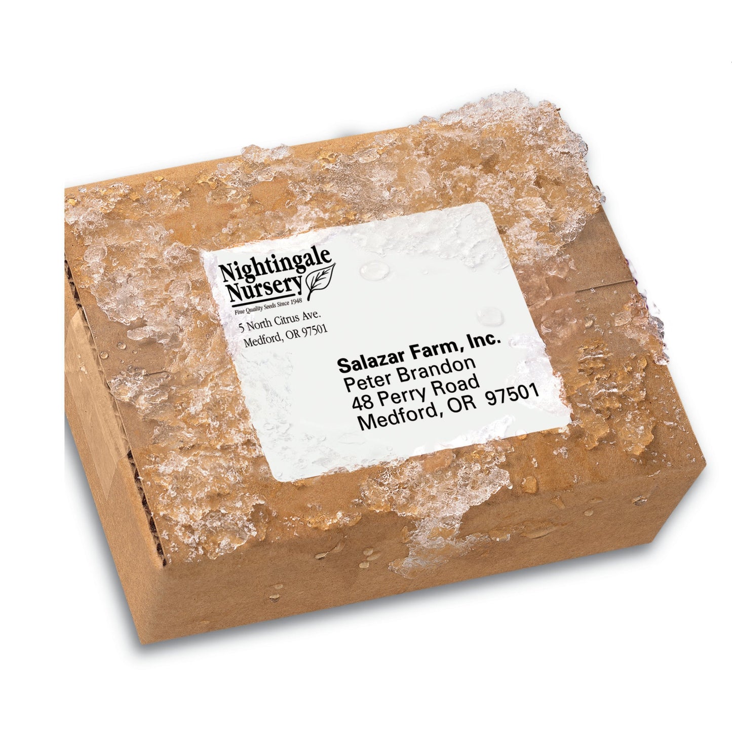Avery Durable Waterproof Shipping Labels with Sure Feed Technology, 3-1/3" x 4", White, Laser Compatible, 300 Blank Labels Total, Great for Mailing, Branding, and More (5524)