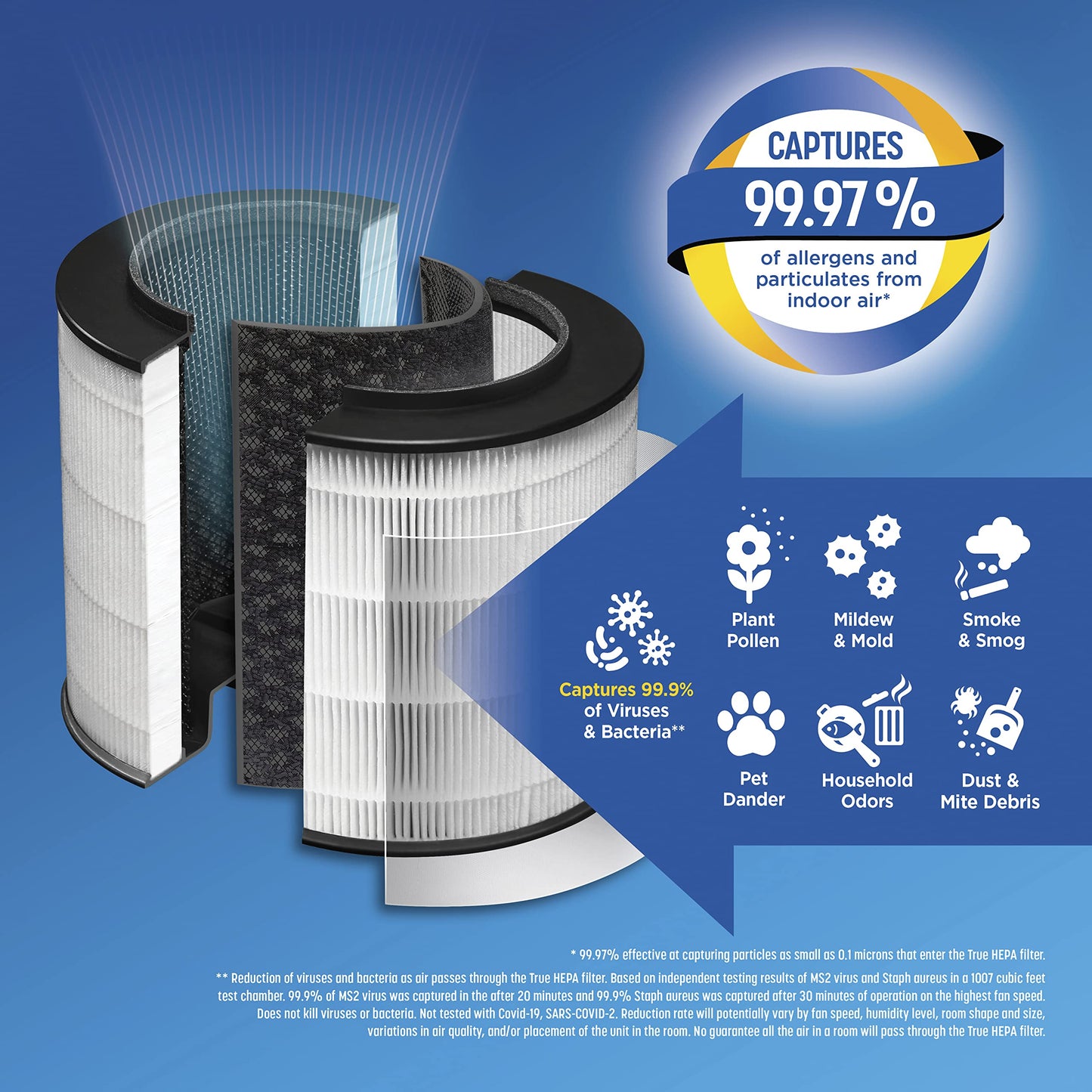 Clorox Medium Room Air Purifier True HEPA Replacement Filter, 1,000 Sq. Ft. Capacity, Removes 99.97% of Allergens up to 0.1 Micron, Compatible with 11030 & 11031, 1 Count (12030)