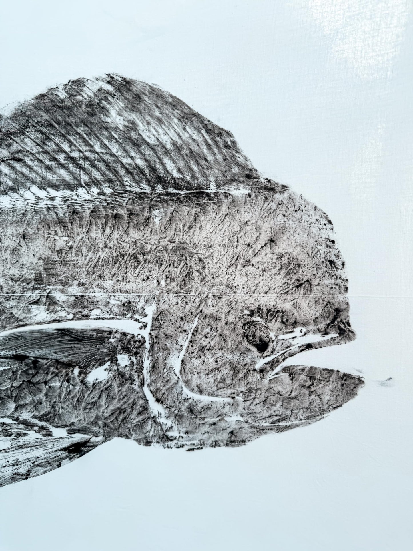 Fishin' Prints Standard Pack DIY Gyotaku Fish Printing Kit - Large Cloth Sheets 36"x18" - Natural Food Grade Cuttlefish Ink - Gift for Fishermen - Gyotaku Fish Printing Supplies