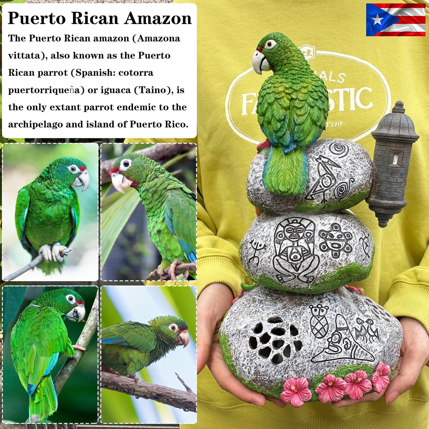 JULYSVE Limited Edition Puerto Rico Souvenirs, Puerto Rican Souvenir with Coqui Sound, Boricua Themed Taíno Zemis Atabey, Yúcahu, Moon Goddess, Puerto Rican Parrot & Old San Juan Garita Morr Taino Art