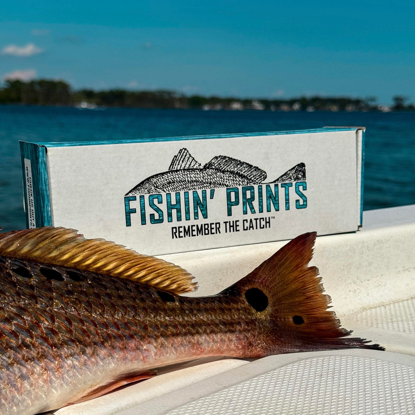 Fishin' Prints Standard Pack DIY Gyotaku Fish Printing Kit - Large Cloth Sheets 36"x18" - Natural Food Grade Cuttlefish Ink - Gift for Fishermen - Gyotaku Fish Printing Supplies