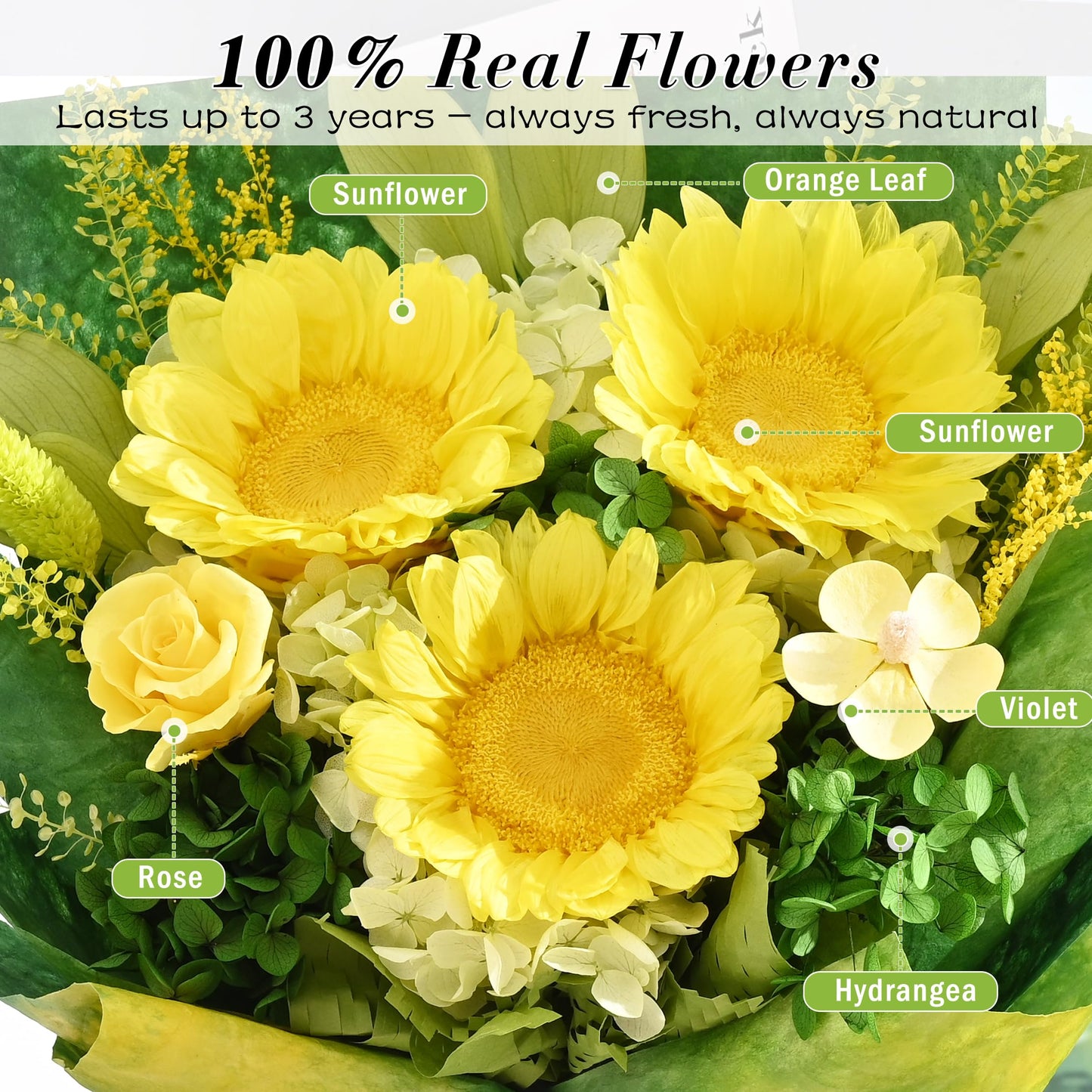 Waipfaru Preserved Flowers for Delivery Prime, Fresh Sunflower Bouquet with Gift Box, Forever Flowers for Women Mothers Day Birthday